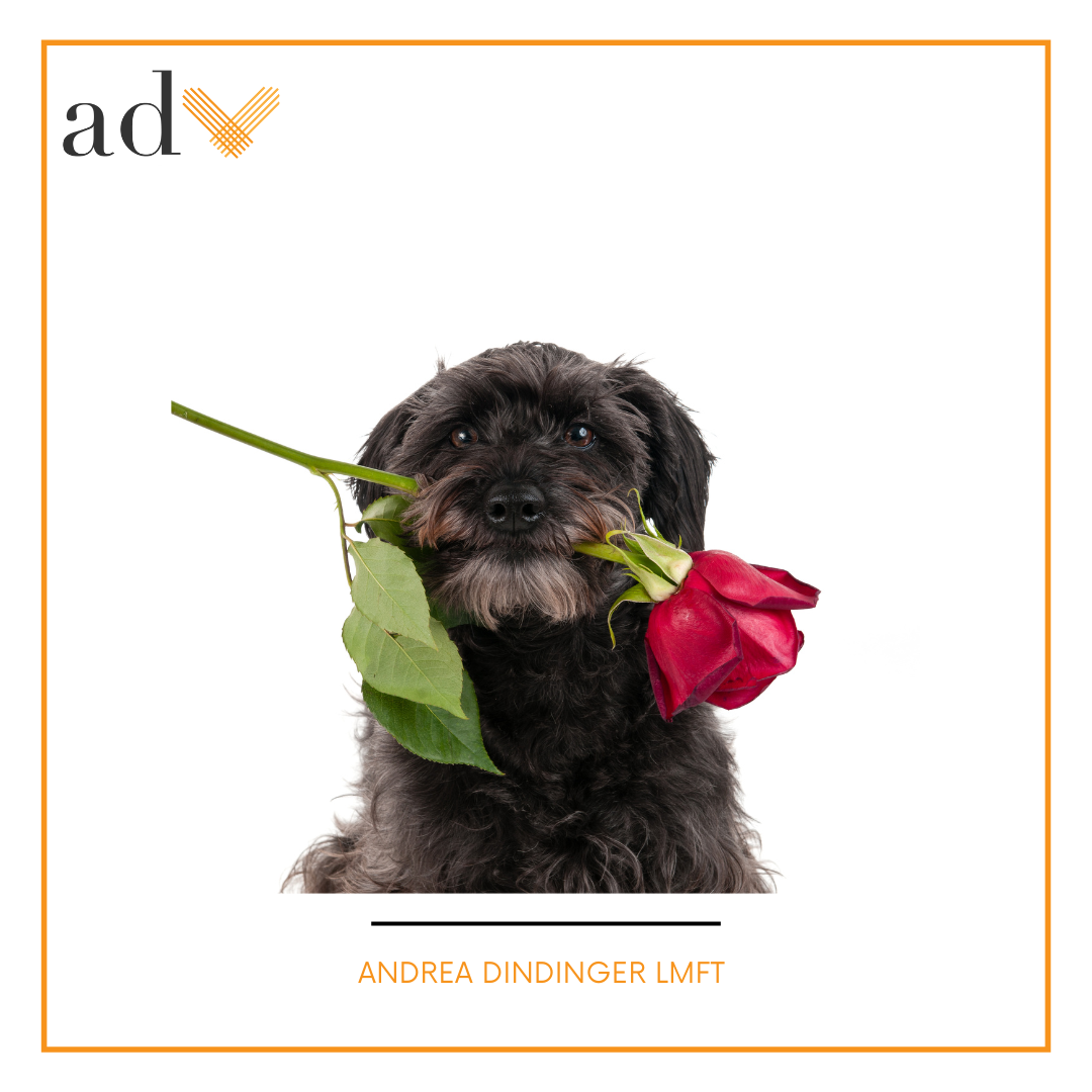 how to not be disappointed on Valentine’s Day (or any other holiday or birthday)
