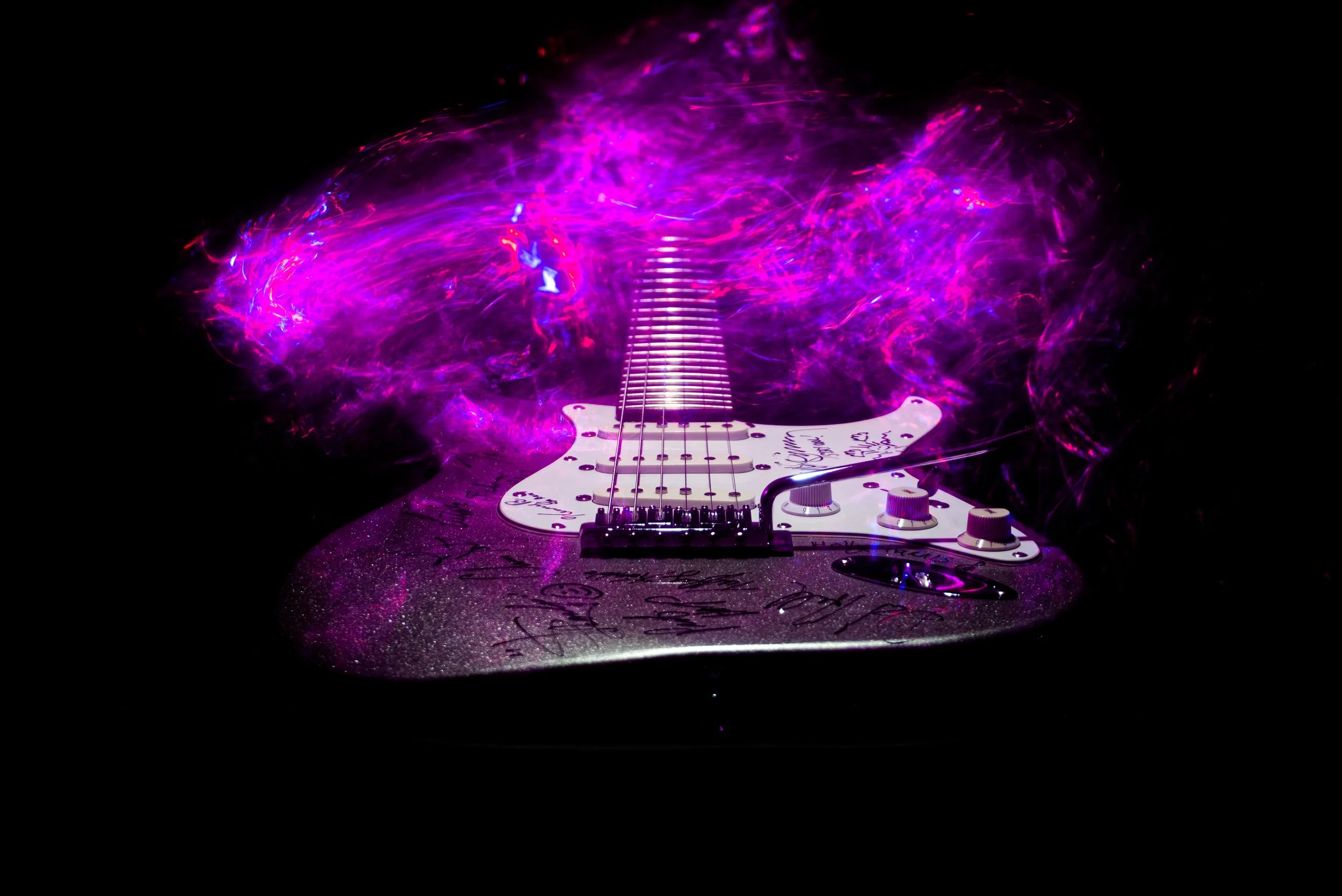 JMB00978 purple.jpg