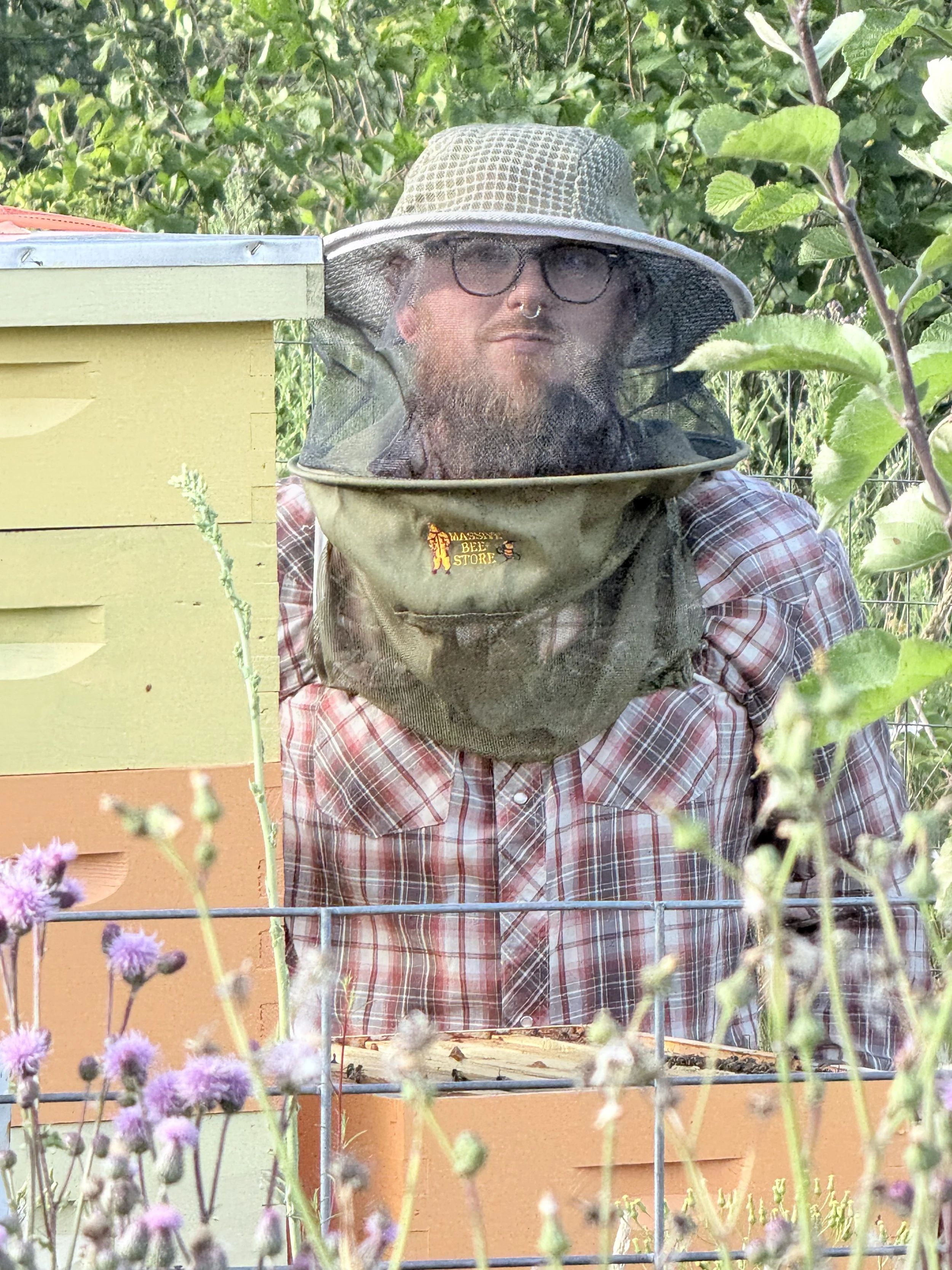 A person with a beard, glasses, and a septum piercing wearing a wide-brimmed hat and a head net, observing bees in a hive in a garden surrounded by plants and flowers.