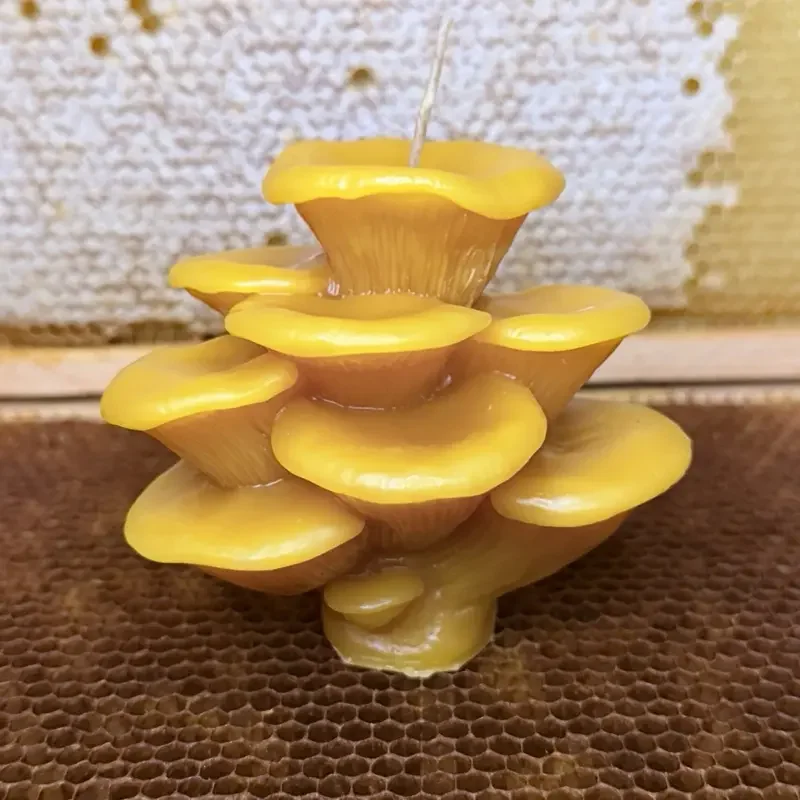 100% Beeswax Mushroom Candle | Hand-Poured PNW Beeswax Candle | Beekeeper & Farmer Owned - FREE SHIPPING