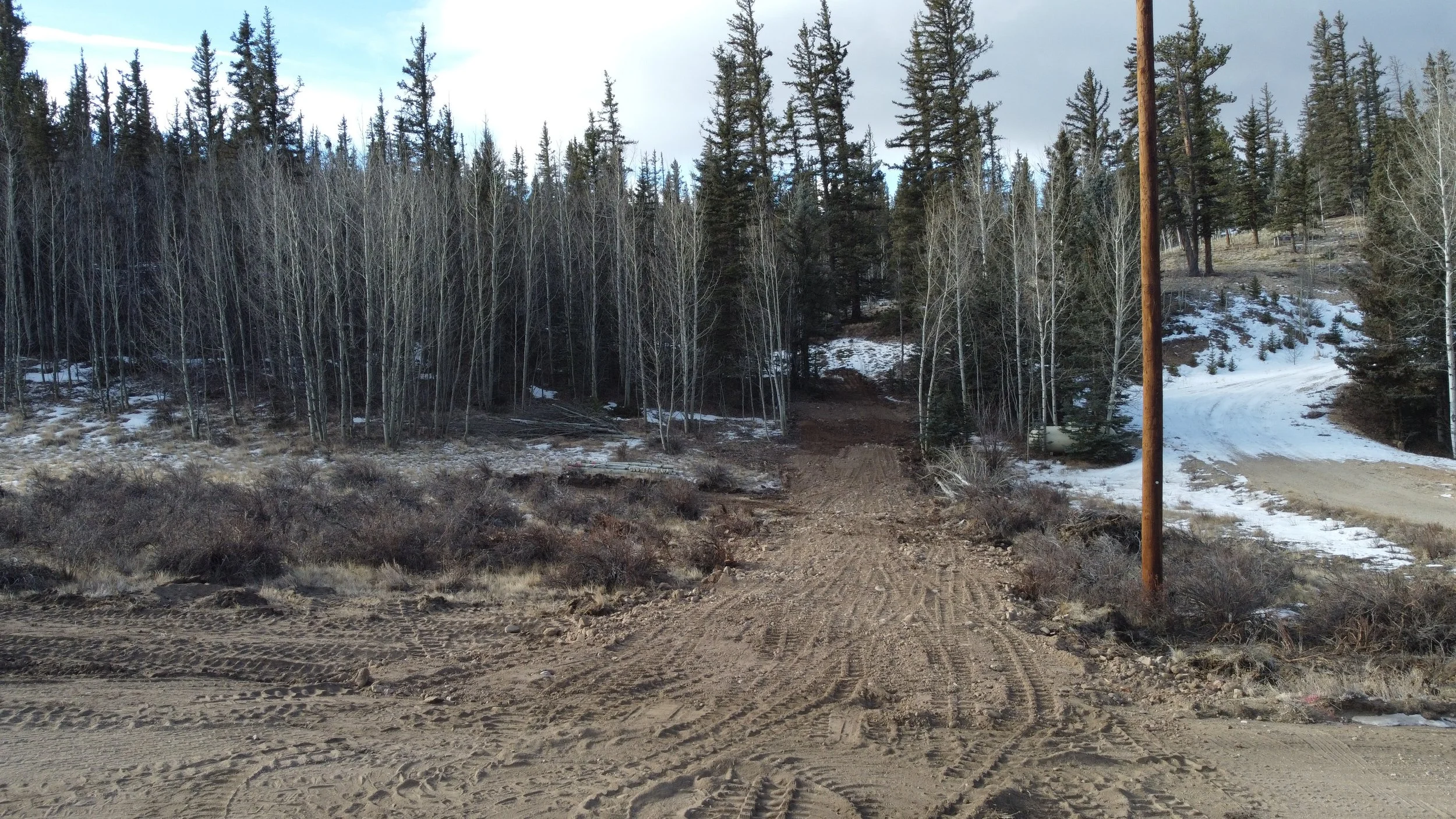 Unpaved dirt road leading into a wooded area with snow patches, surrounded by tall pine and leafless trees, under a partly cloudy sky.