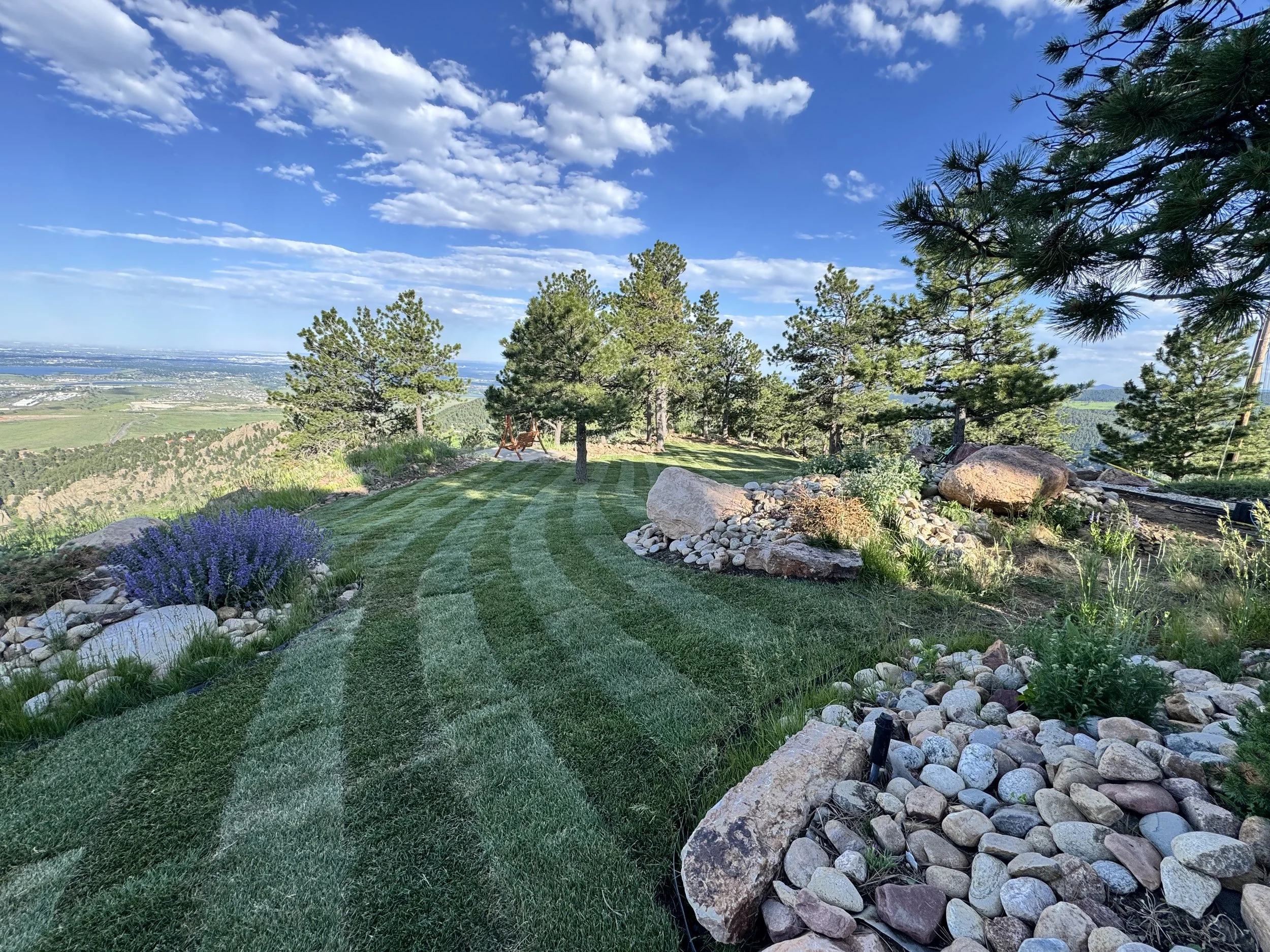 A landscaped backyard on a hillside with a striped green lawn, trees, rocks, and plants, overlooking a distant valley under a partly cloudy blue sky.