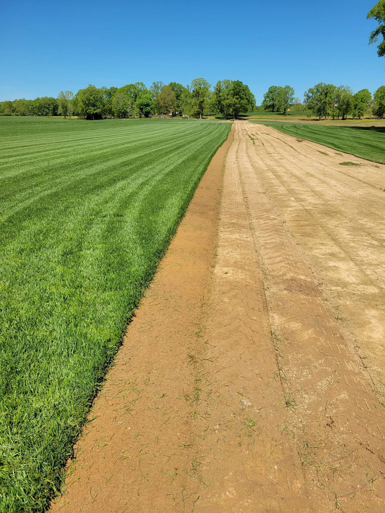 Freshly planted sod field with prepared soil rows at Southern Pride Turf Farm in North Carolina