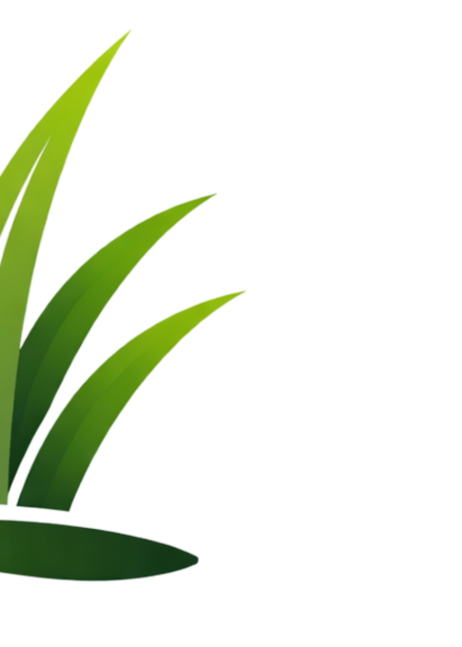 Close-up of bright green plant leaves against a black background.