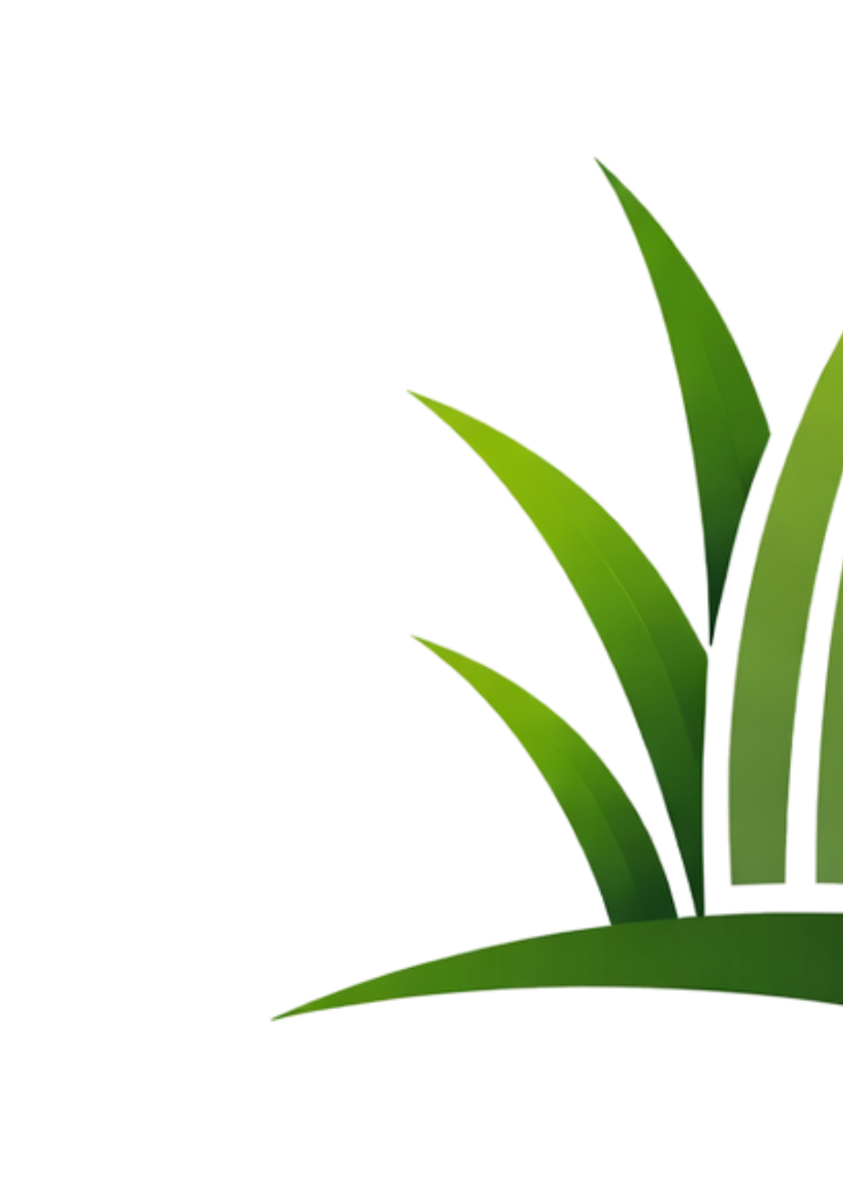 Illustration of green grass blades against a black background.