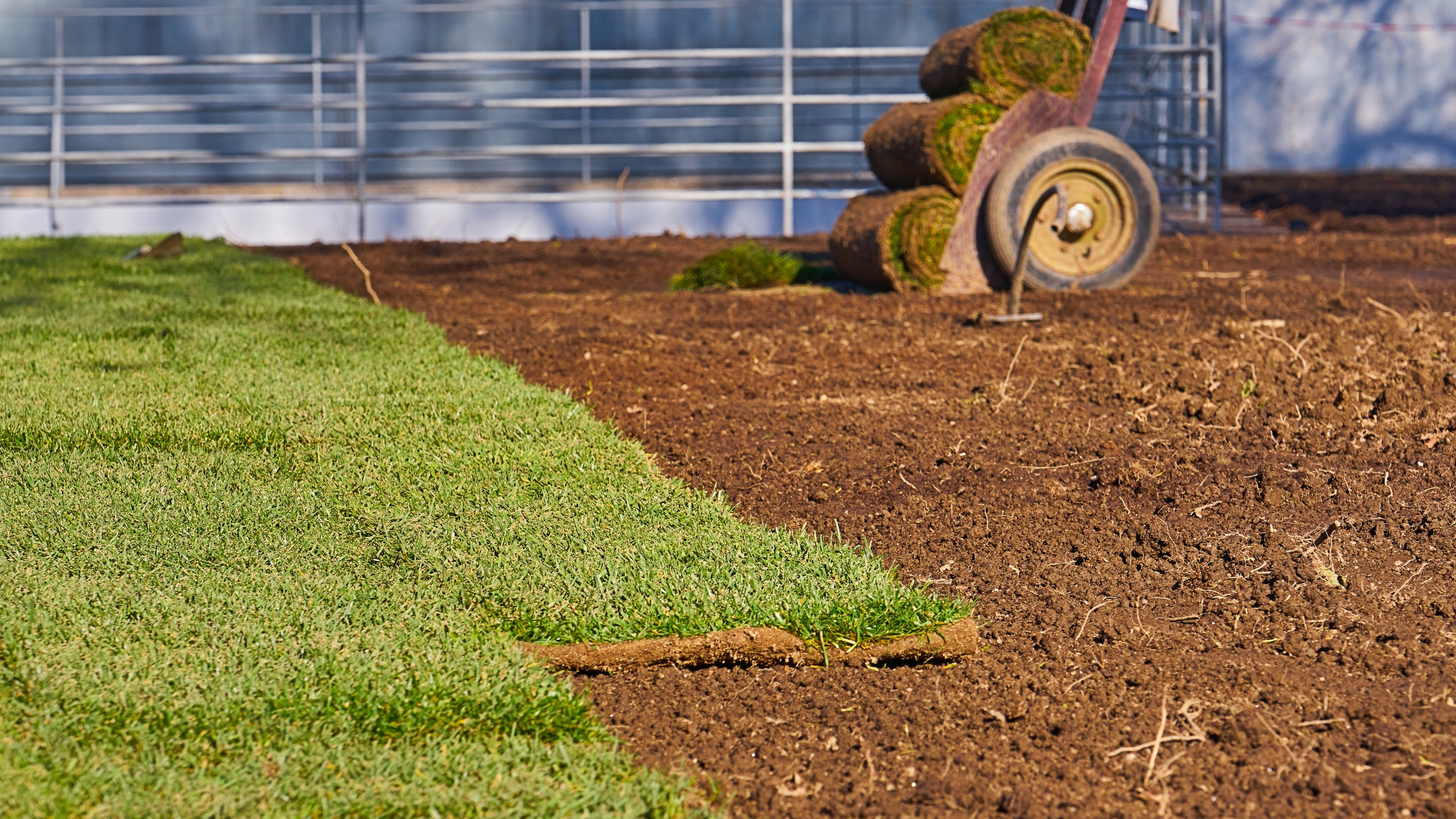 Fresh green lawn beside a prepared landscape bed during a residential turf and landscaping project in Concord NC.