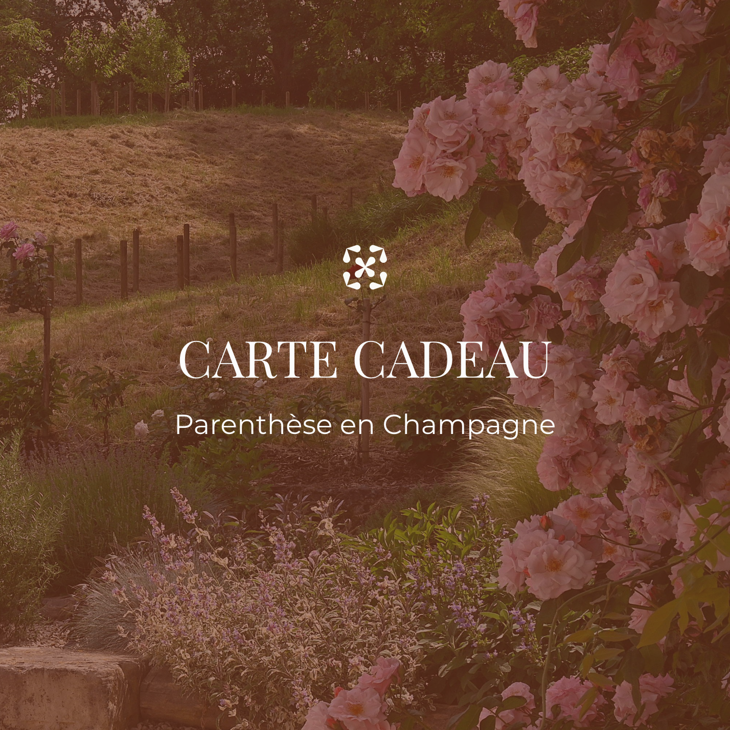 CARTE CADEAU