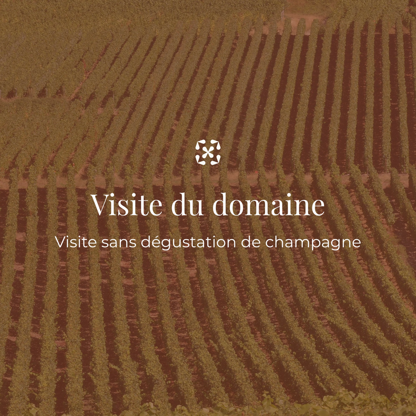 Visite sans dégustation