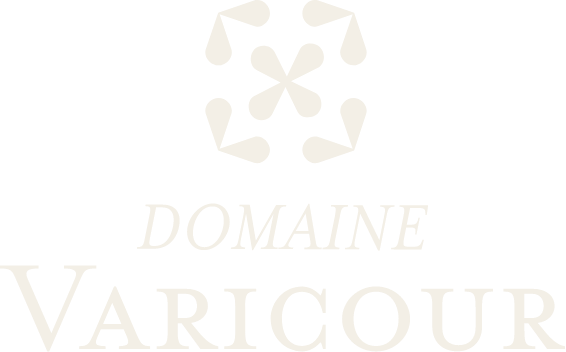 Logo principal du Domaine Varicour