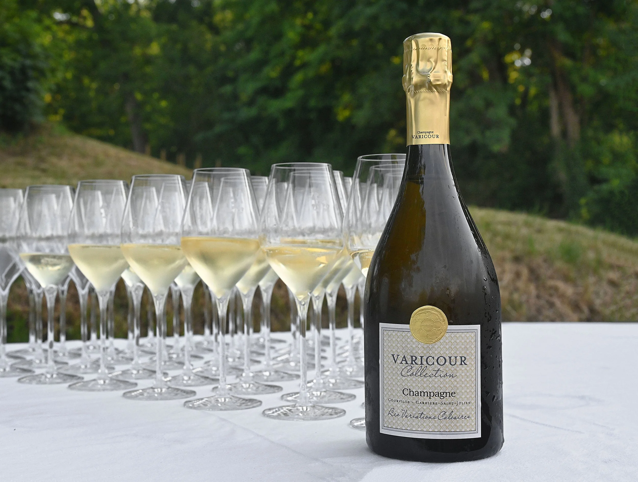 Champagne au Vert - La Rêveuse