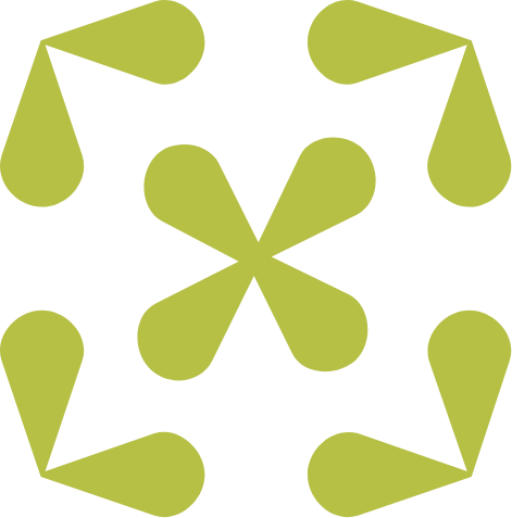 Symbole du Domaine Varicour - Domaine de Champagne à Rilly-la-montagne