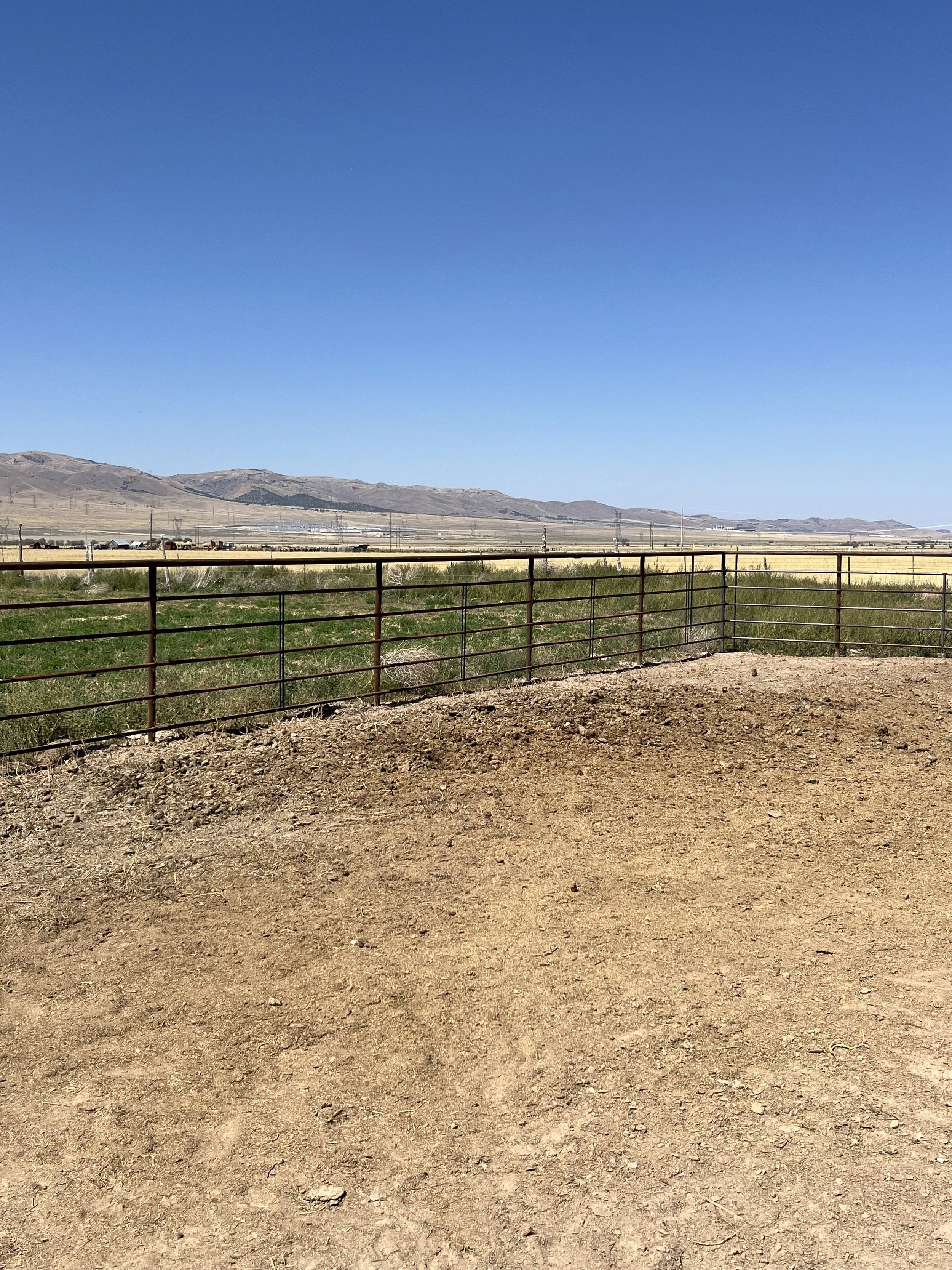 Corral 3.jpg