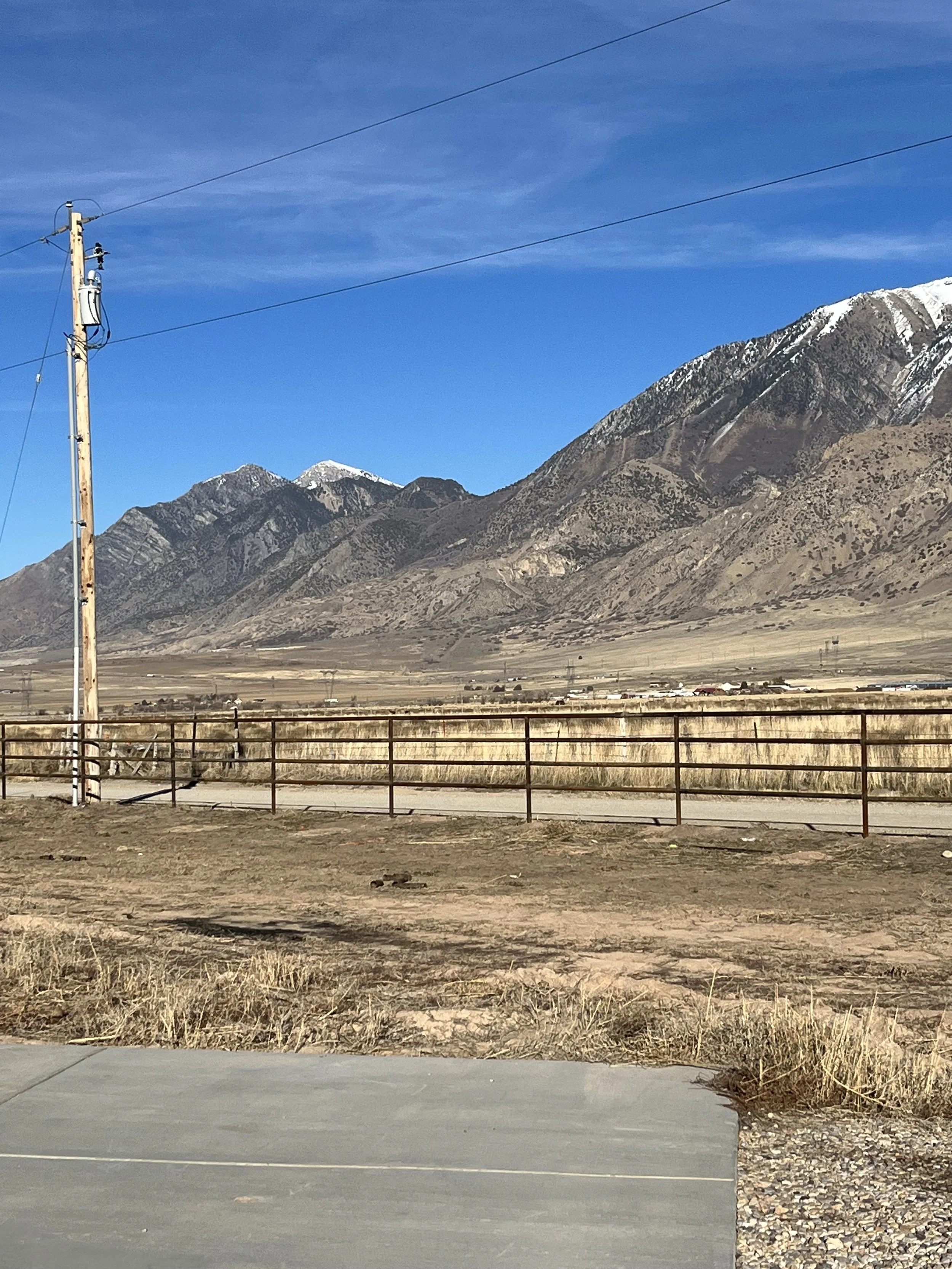 Fence 1.jpg