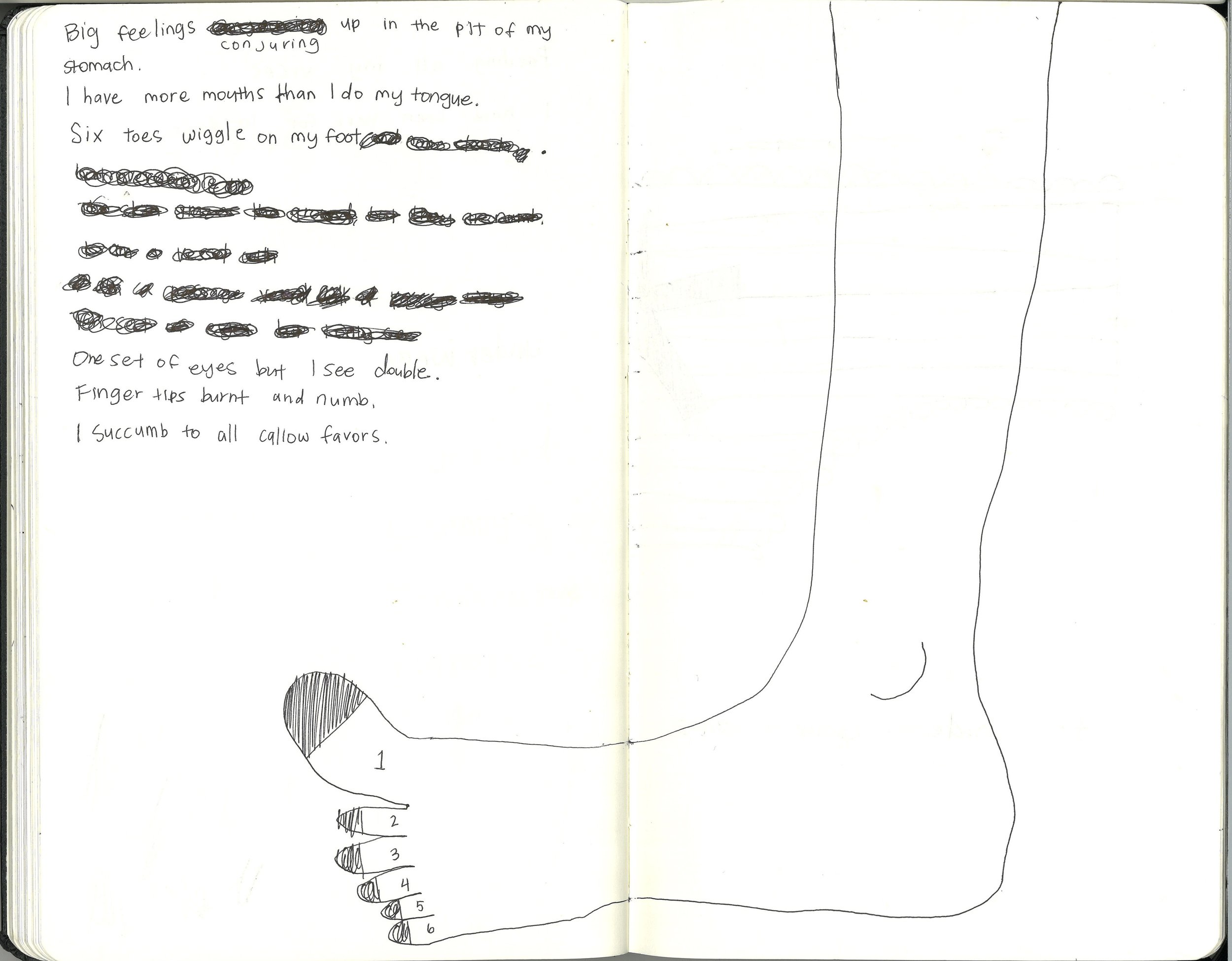 "six toes" 2026