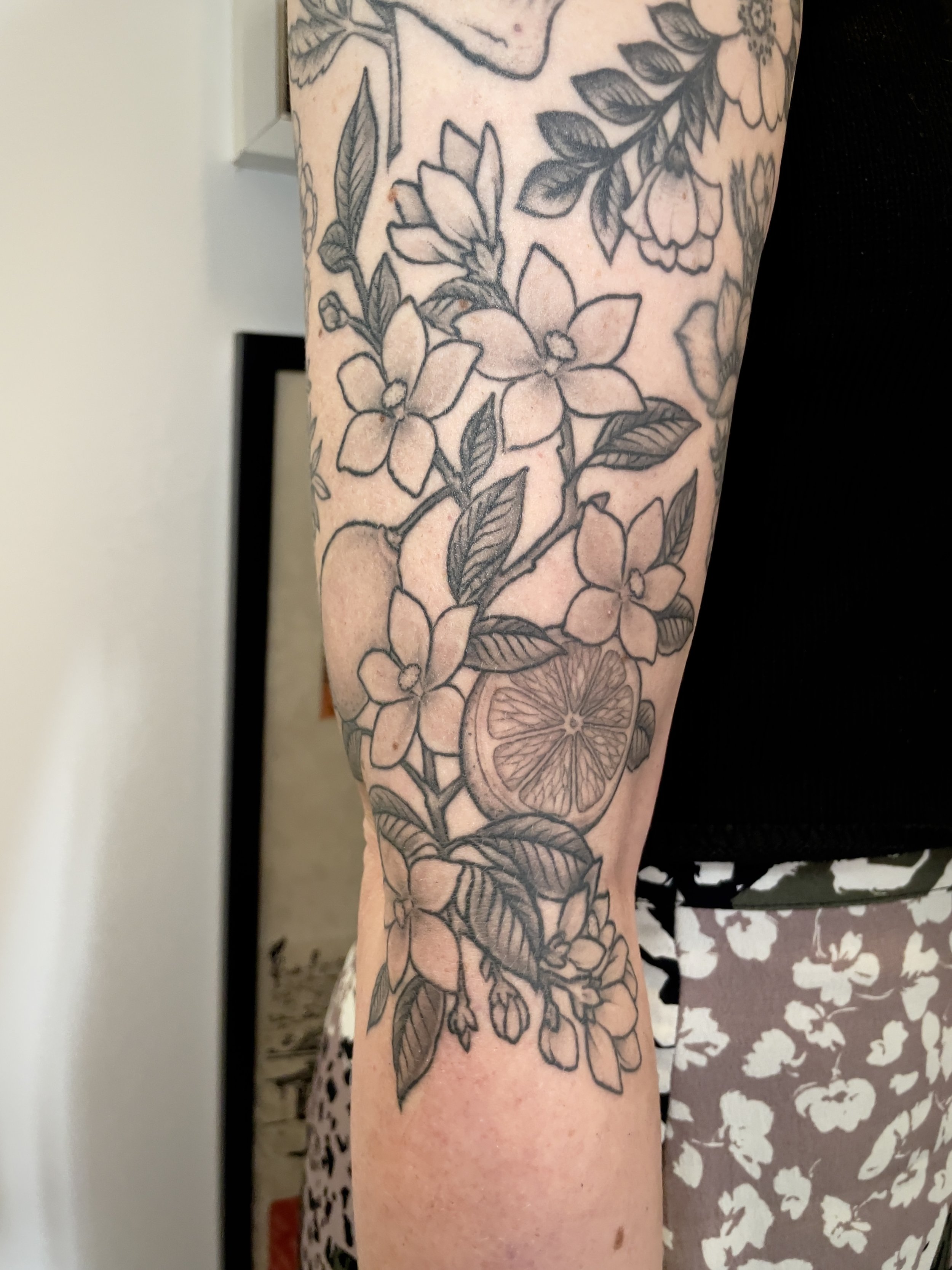 IMG_0581.jpeg