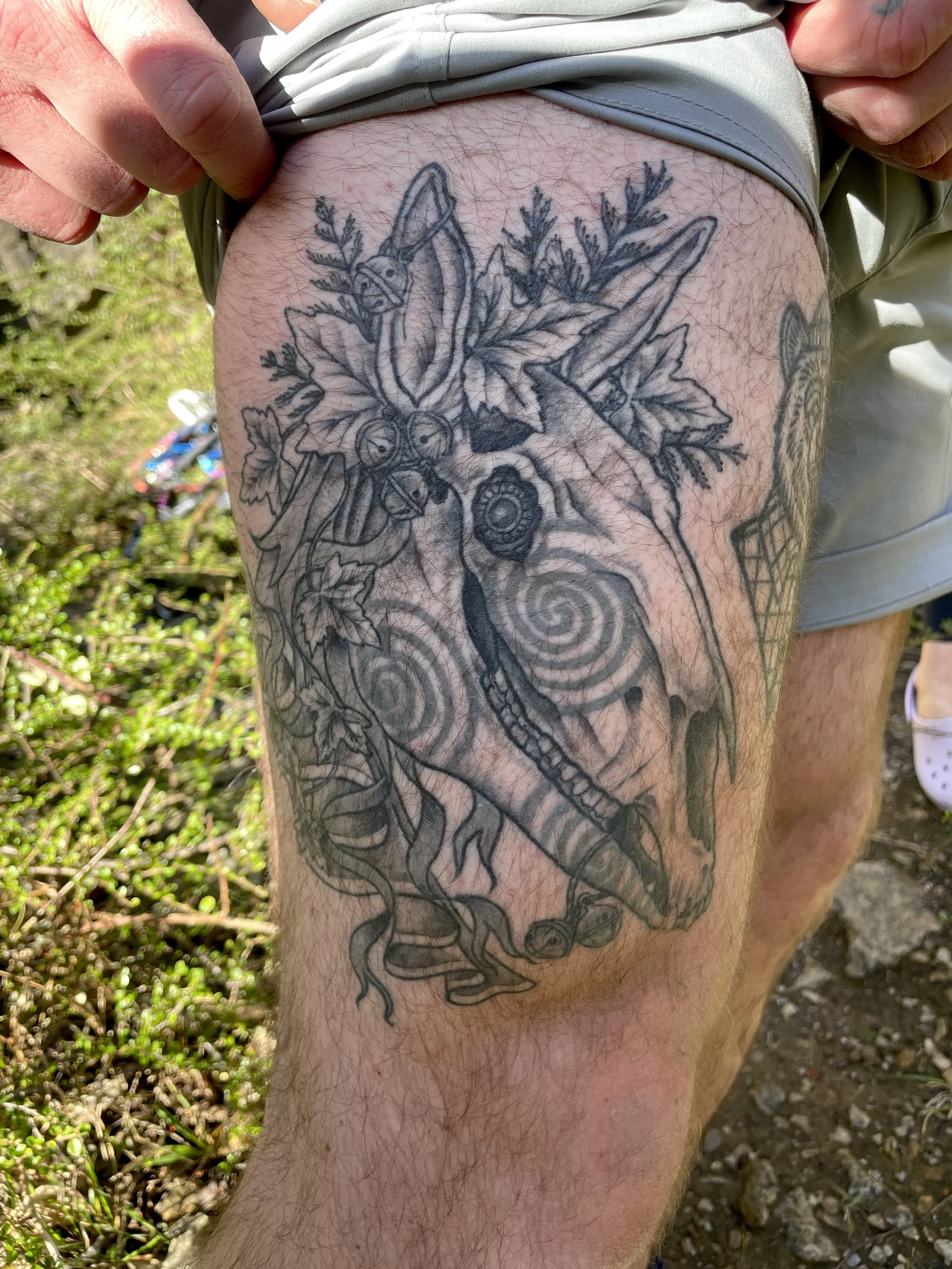 IMG_6225.jpeg