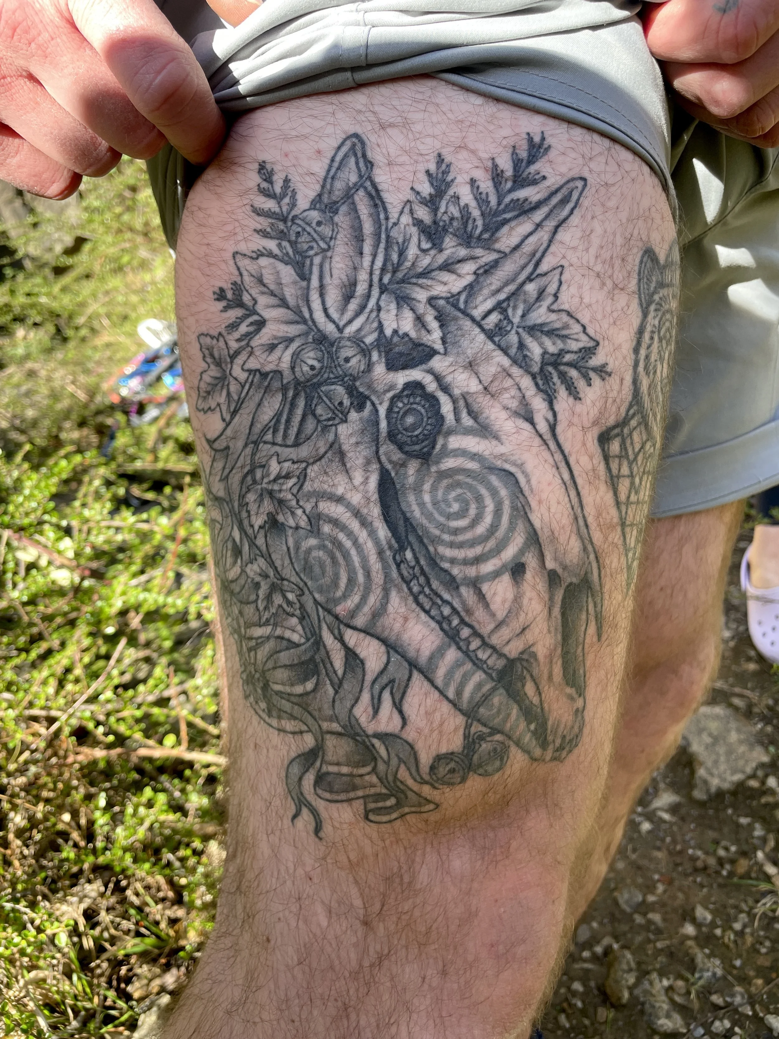 Healed Mari Lywd
