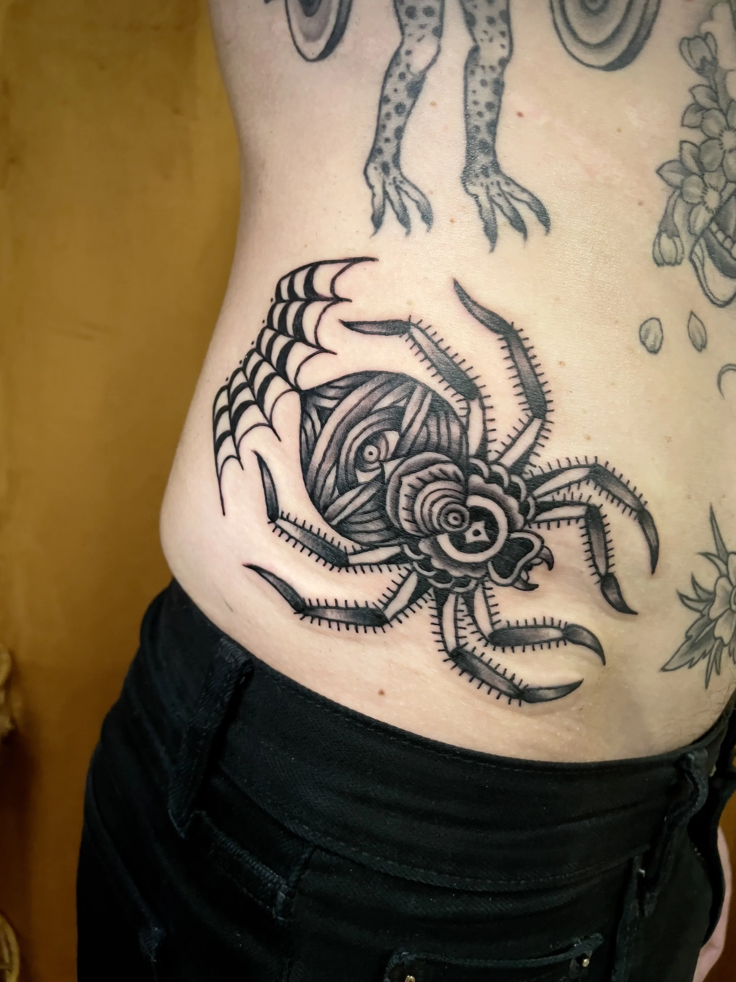 Spider