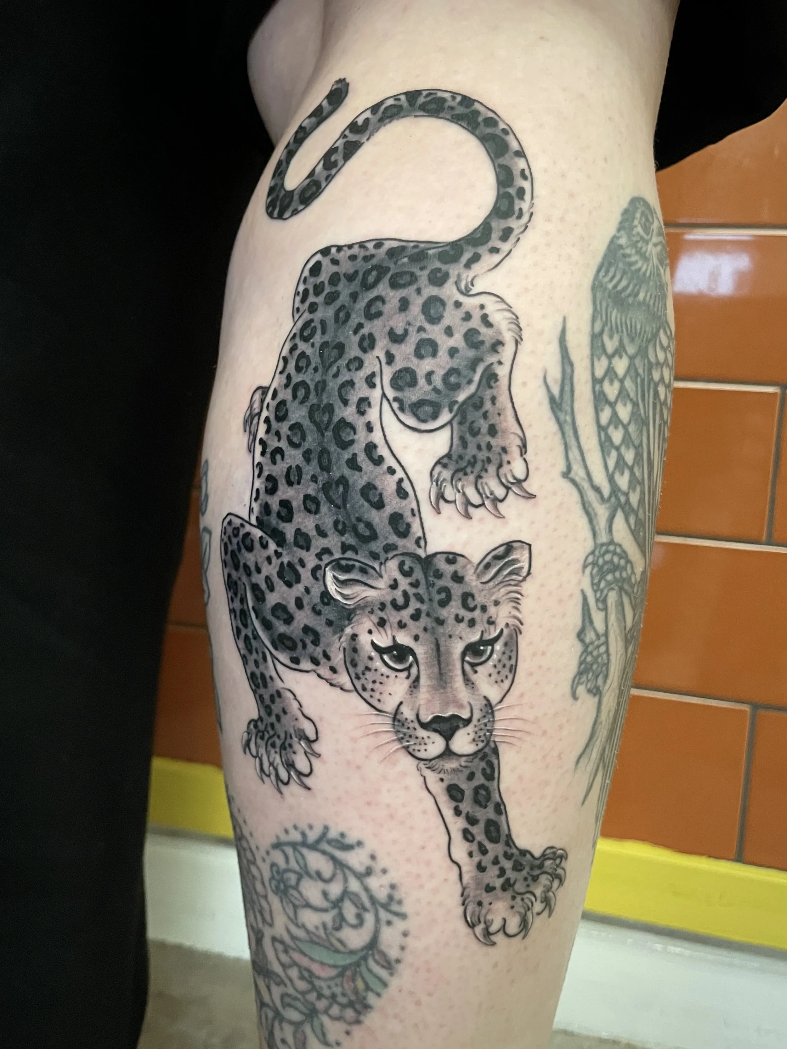 Black and grey leopard