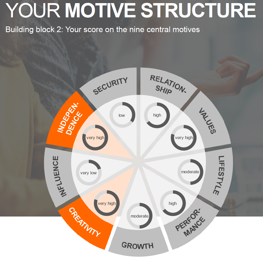 Pie chart style graph of the LPP motive structure