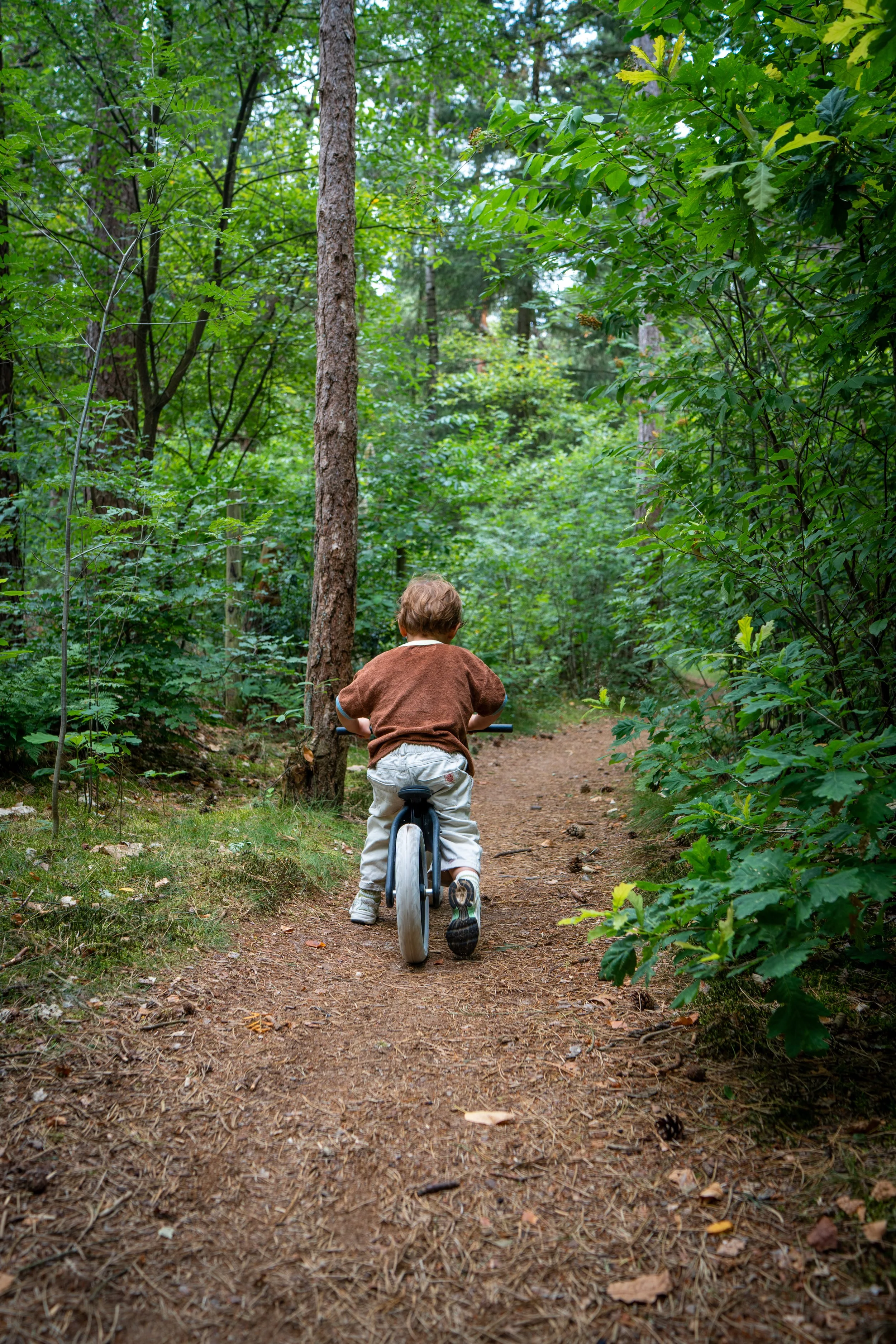 Een kind fietst op een bosbebelpad omgeven door groen blad en bomen.