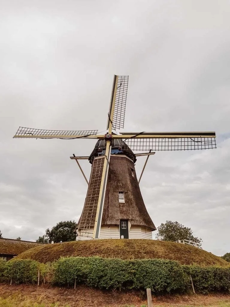 Wat te doen in Nunspeet? De complete gids voor een onvergetelijk verblijf op de Veluwe