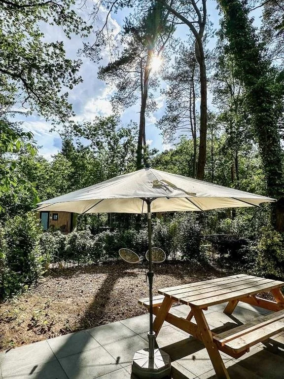 Waarom een vakantiehuis op de Veluwe de perfecte bestemming is voor een weekend weg