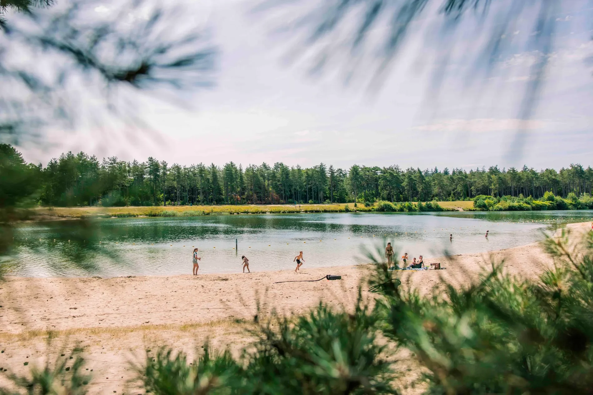 Mensen die zwemmen en spelen aan de oever van een rivier, omgeven door bomen en een bosrijke omgeving.