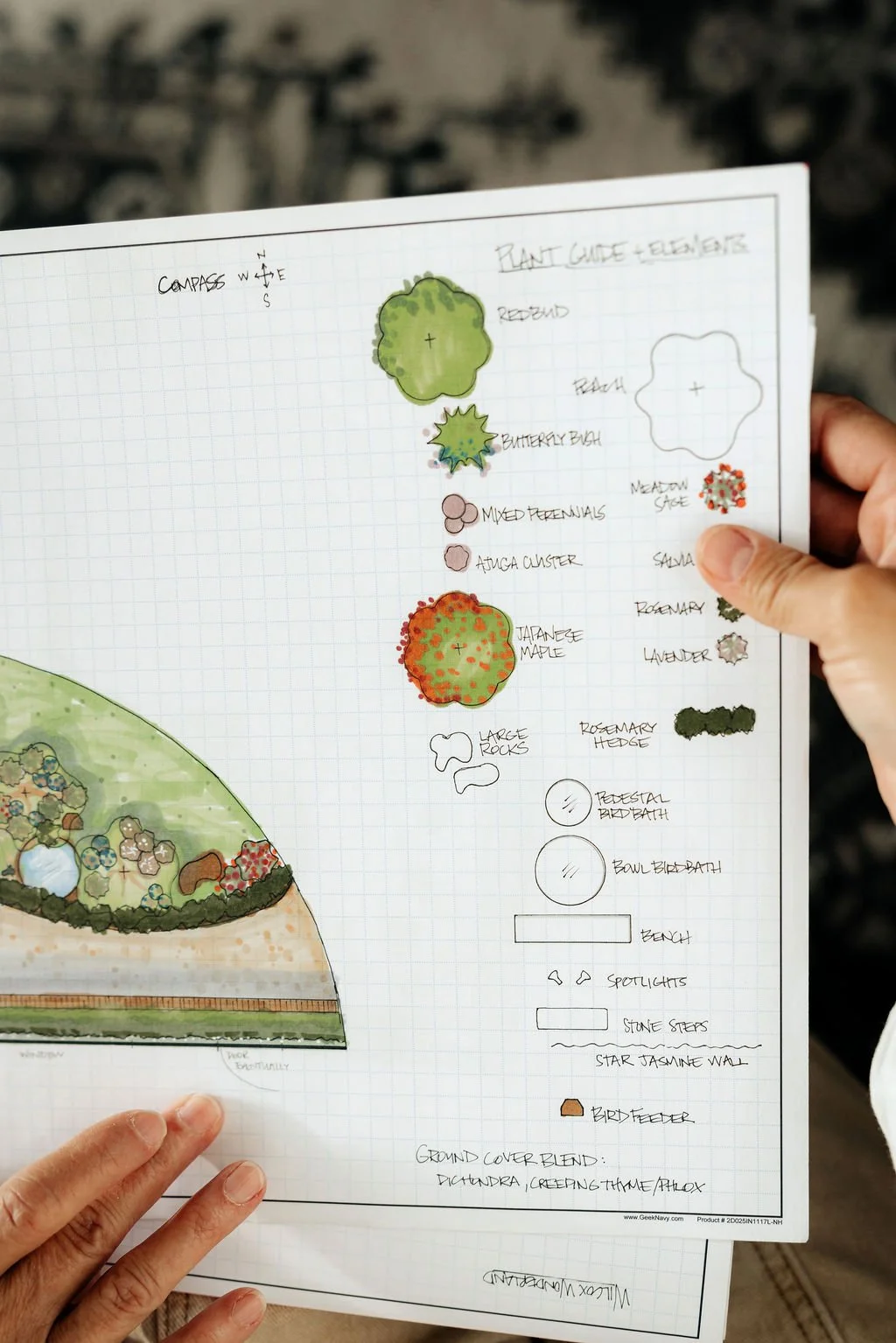 Hand holding a garden plan sketch with labeled plants, including Japanese maple, hosta, lavender, and other garden features on graph paper.
