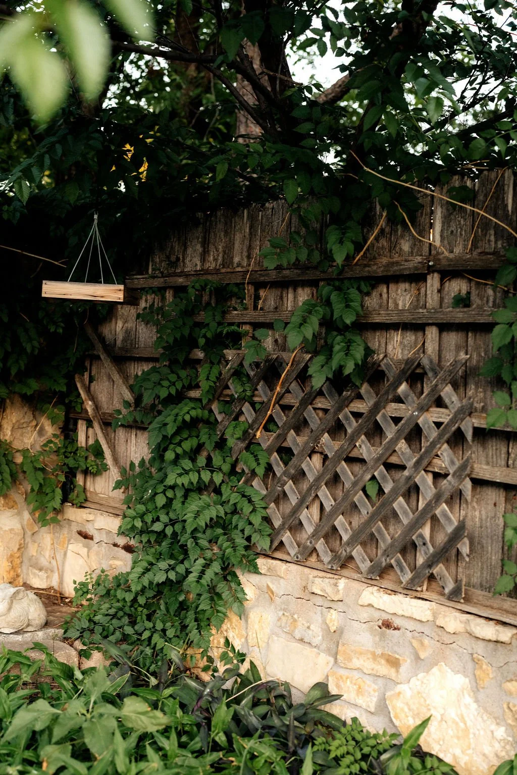 A weathered wooden fence with green vines growing over it, surrounded by various leafy plants. A small wooden hanging sign is suspended from a wire above the fence.