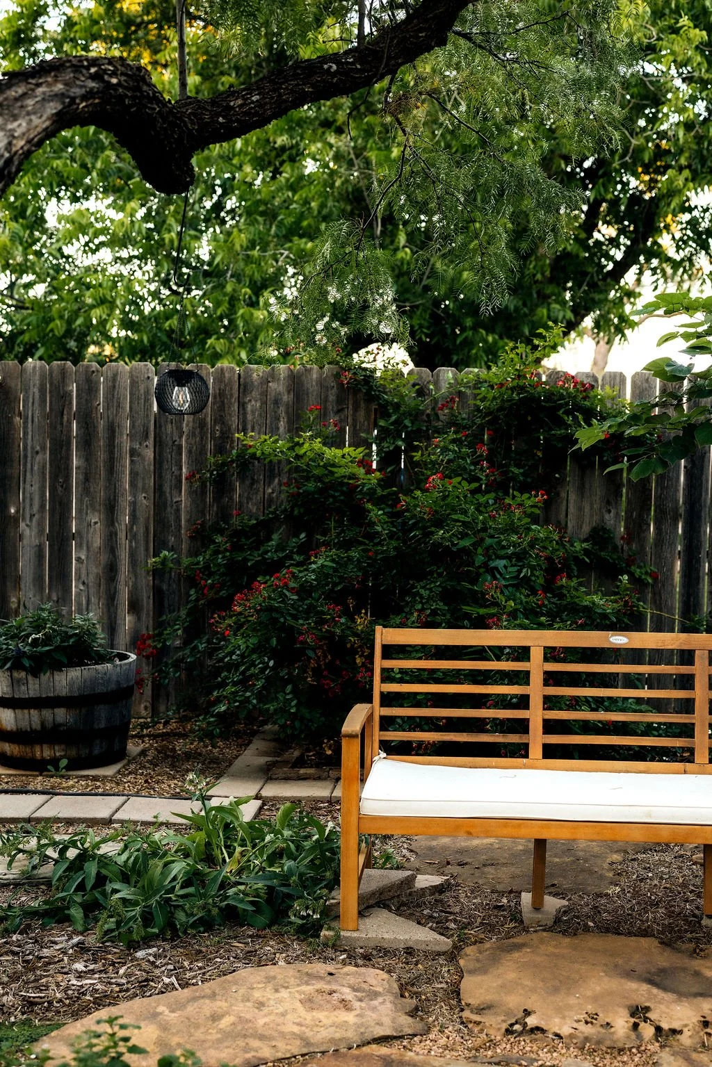 A backyard scene with a wooden garden bench, a wooden fence, a barrel planter with greenery, and various bushes and trees, including some with red flowers.