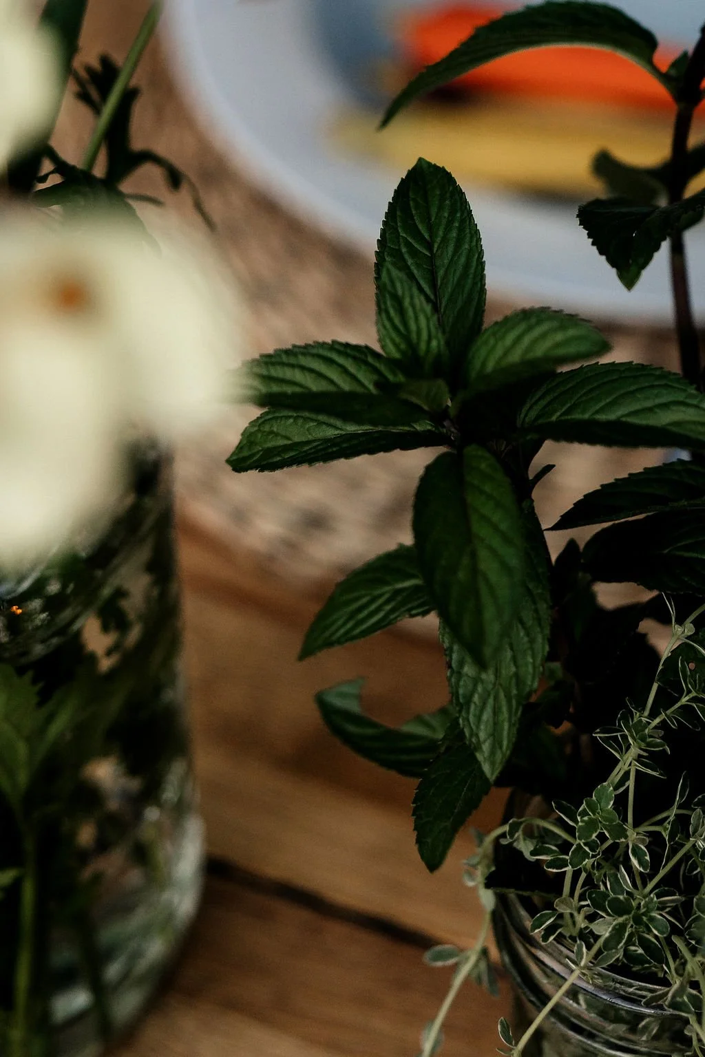 Close-up of green leaves from indoor plants on a wooden surface, with a blurred background including a plate with colorful food.