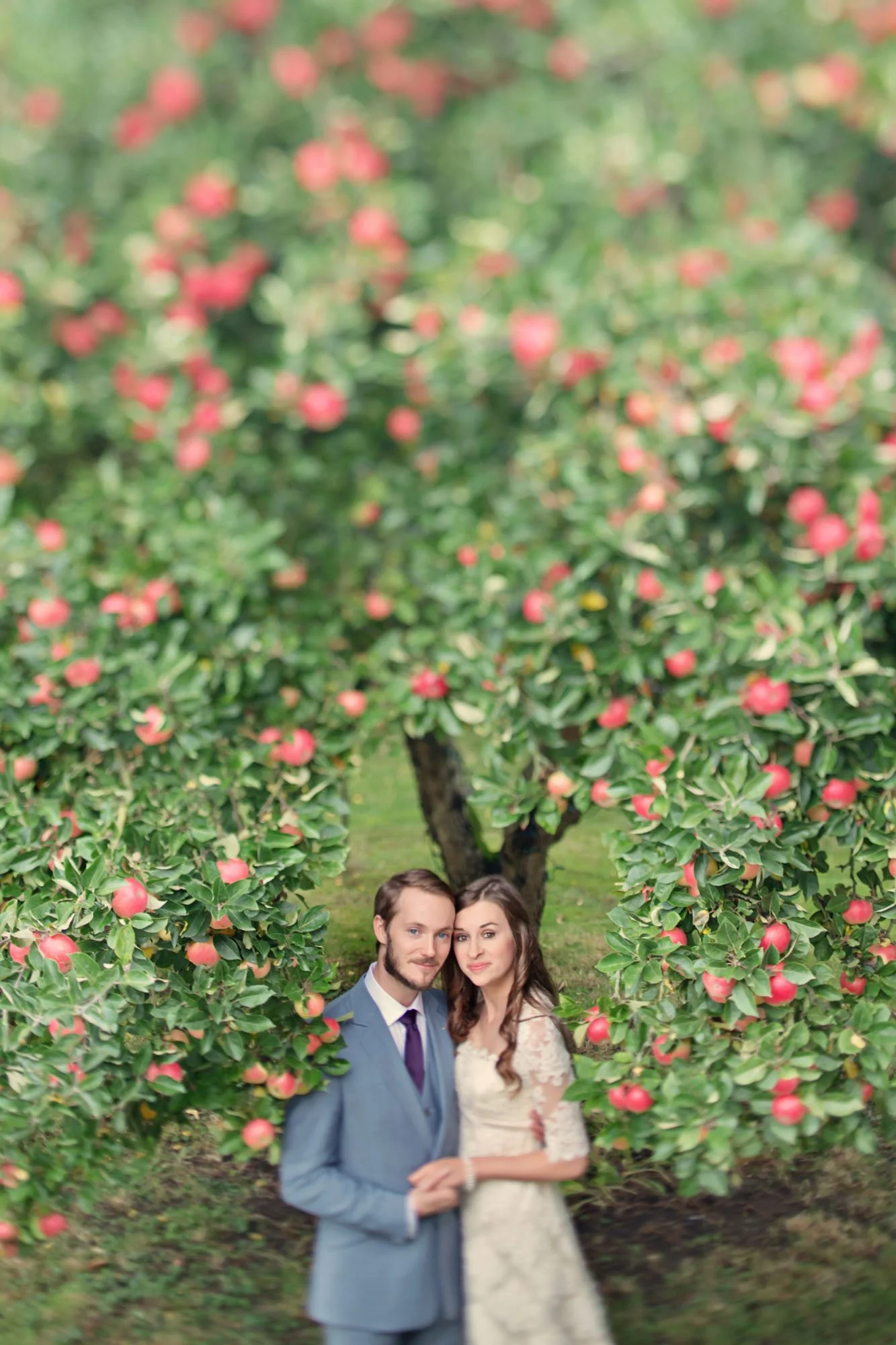 A bride and groom hold hands and look up at the camera as they stand under a tree full of red apples in the garden of the bride's family home in Kent