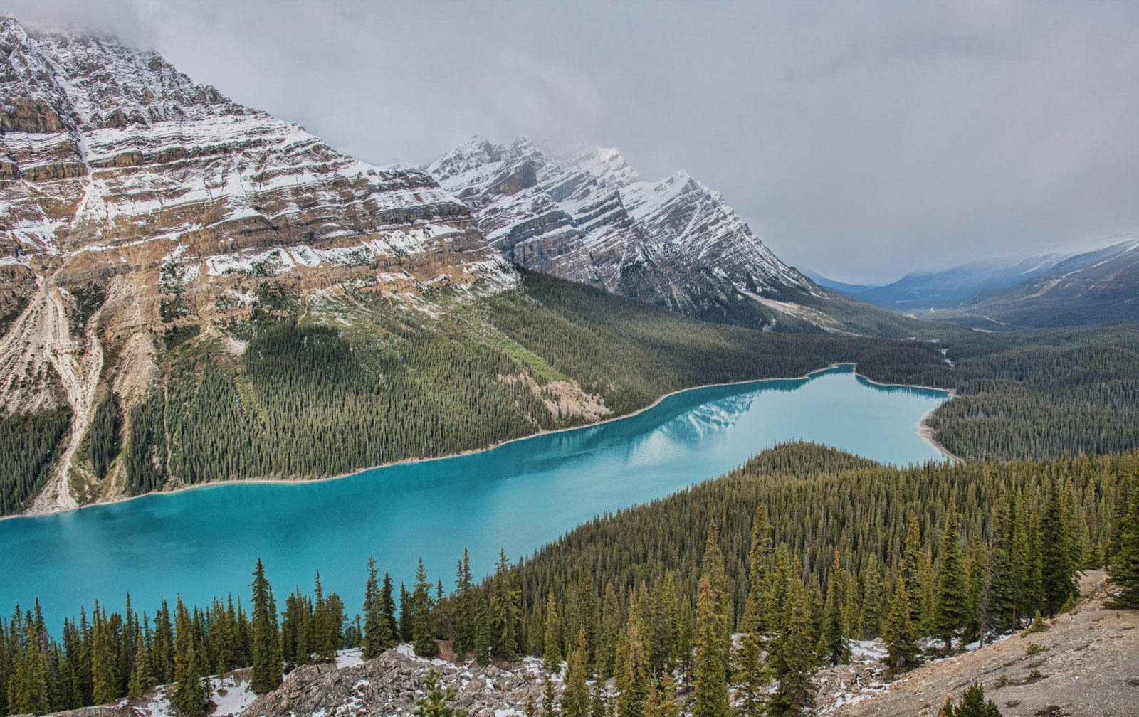 A mountain landscape featuring snow-capped peaks, a turquoise lake, and a dense green forest.