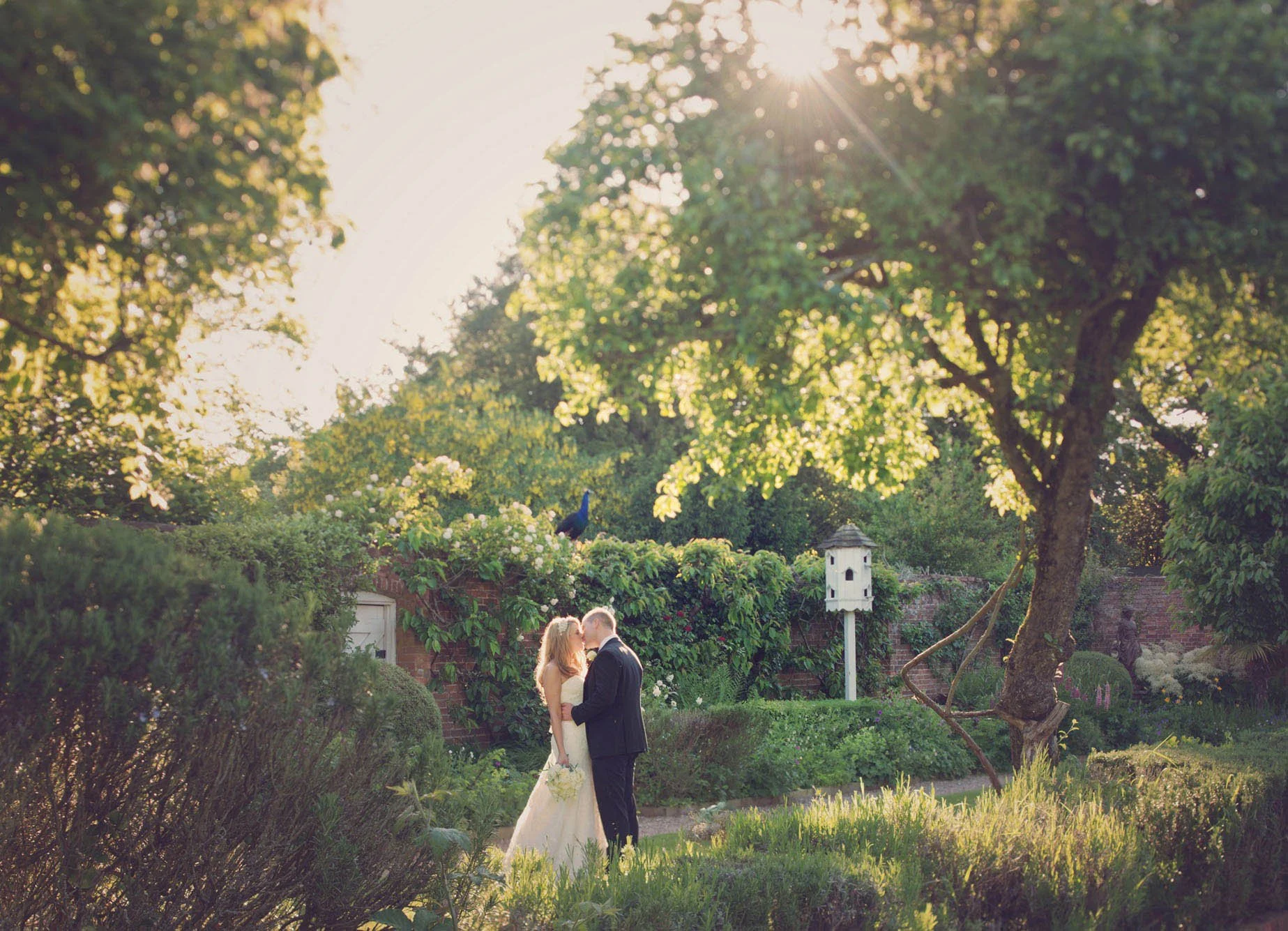 A bride and groom kiss in the gardens of Northbrook Park, watched by a peacock on the wall
