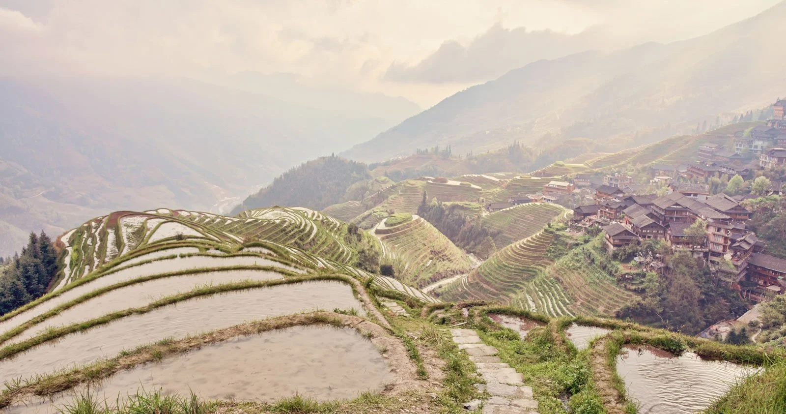 Terraced rice fields on a hillside with a village of traditional houses in the background, under a misty sky.