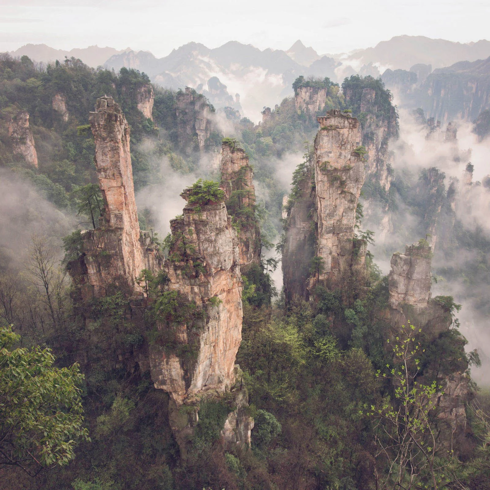 Tall rocky mountain pillars covered in green trees, shrouded in mist in a lush forest.