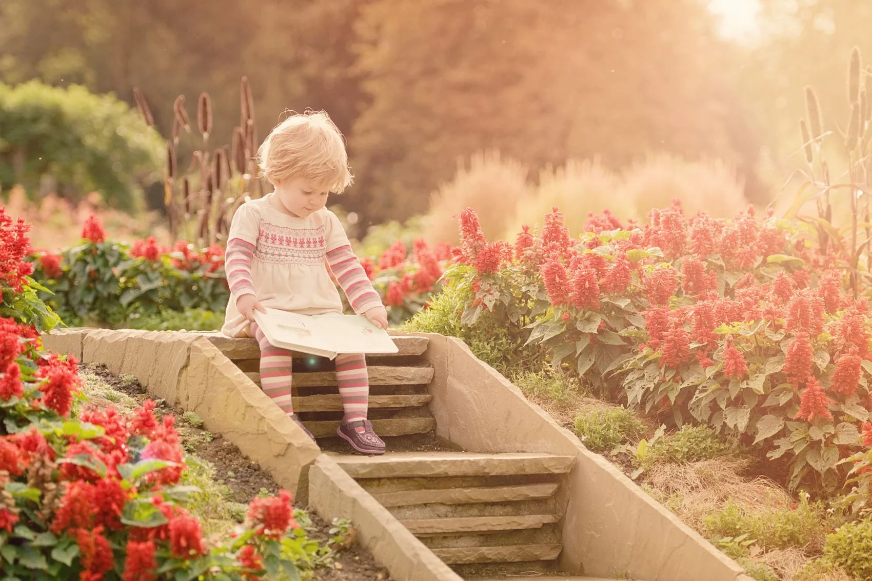 Little girl has an open book in her lap as she sits on steps at Cannizaro Park in Wimbledon in south London, surrounded by red flowers in the golden late afternoon sun 