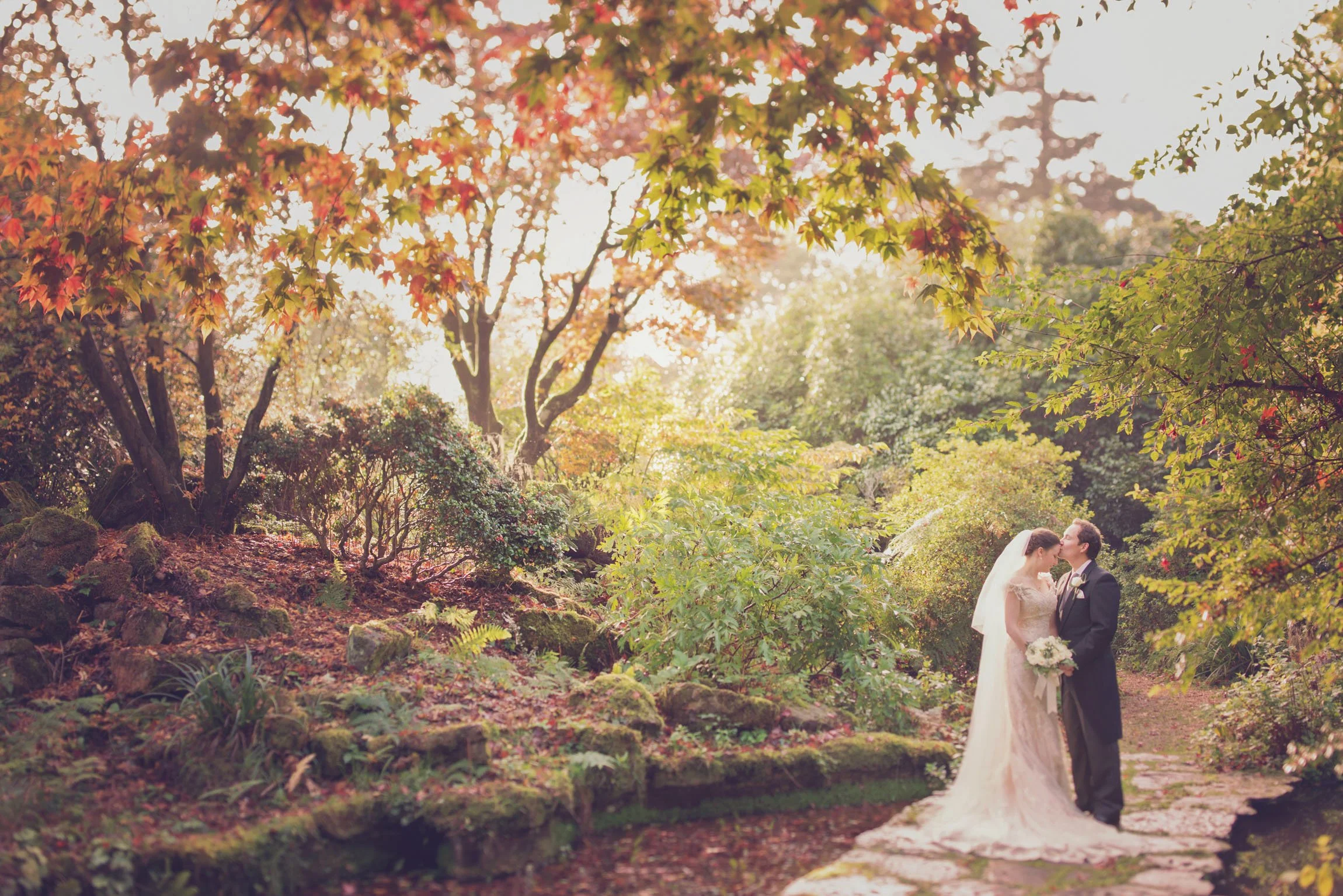 A bride and groom share an intimate moment outdoors in a wooded park during autumn, with colorful fall foliage and sunlight filtering through the trees.