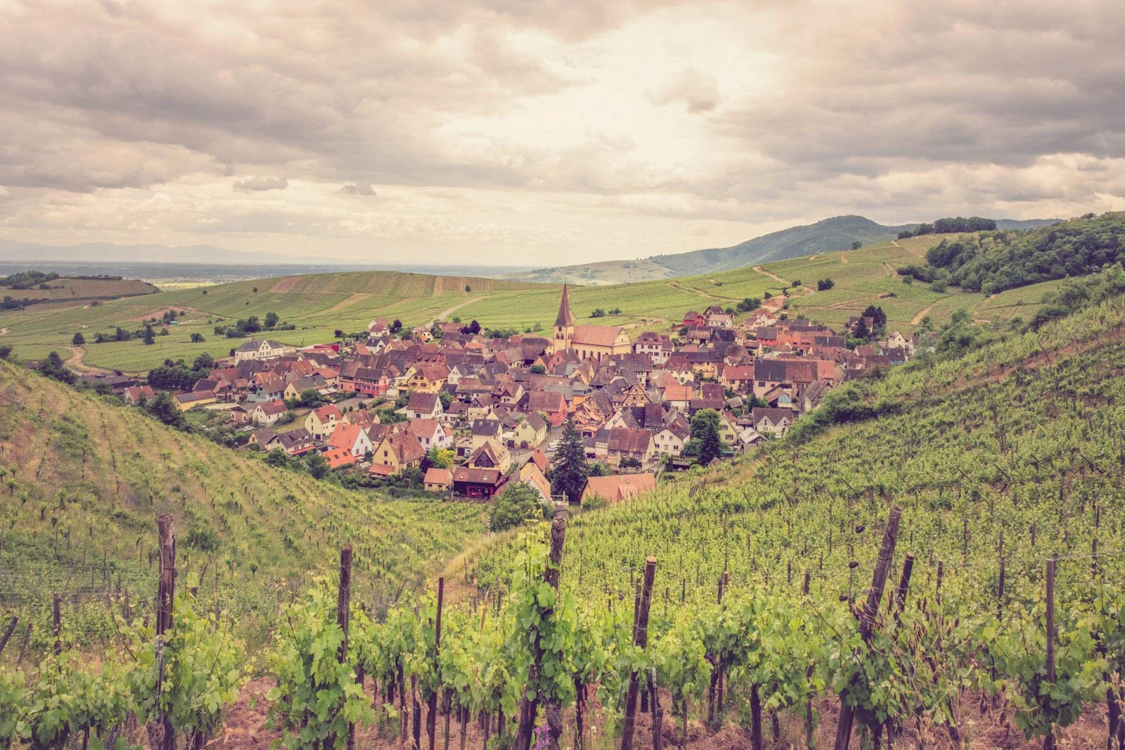 Vineyards overlooking a small village with a church and surrounded by rolling green hills under a cloudy sky.