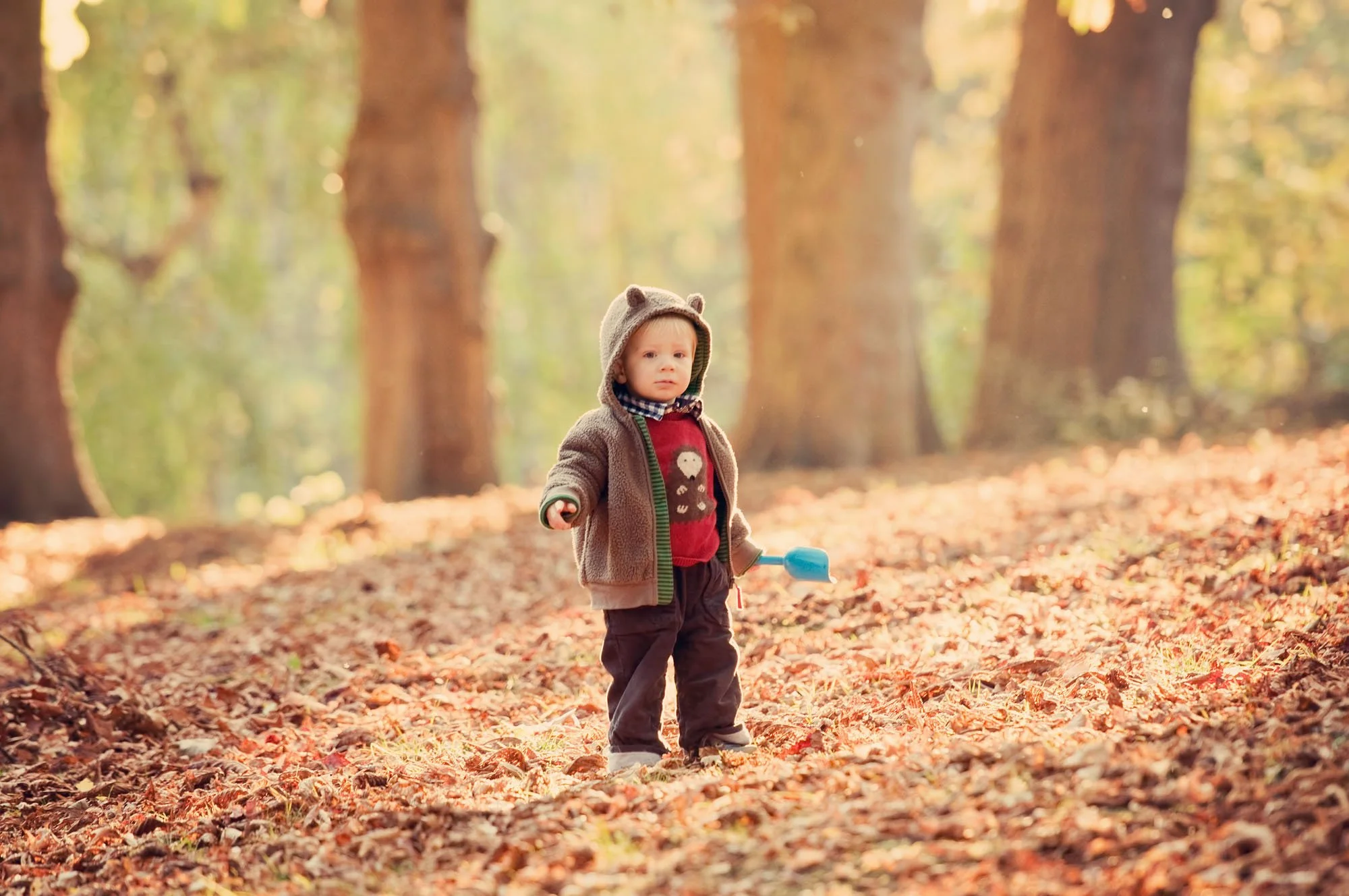 A little boy wearing a hood with ears stands among the autumn leaves in Hampstead Heath in north London