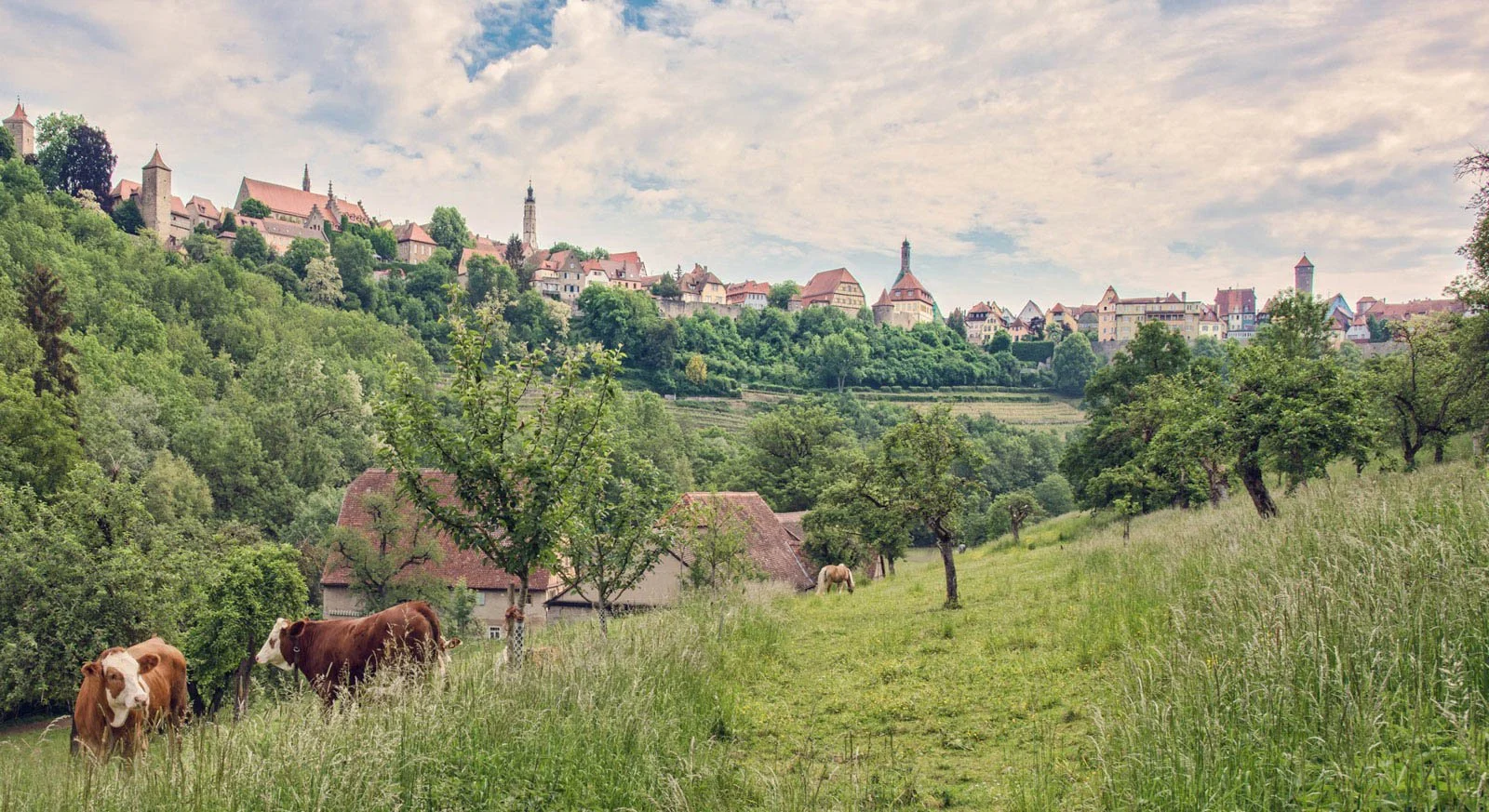 A rural landscape with cows grazing in a grassy field, trees, and a hillside town with historic buildings and a castle in the background under a partly cloudy sky.