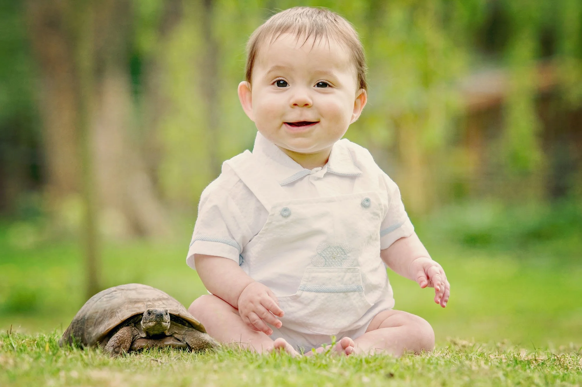 A six month old baby boy grins at the camera as he sits next to his pet tortoise during a family photoshoot in Waterlow Park in Highgate in north London.
