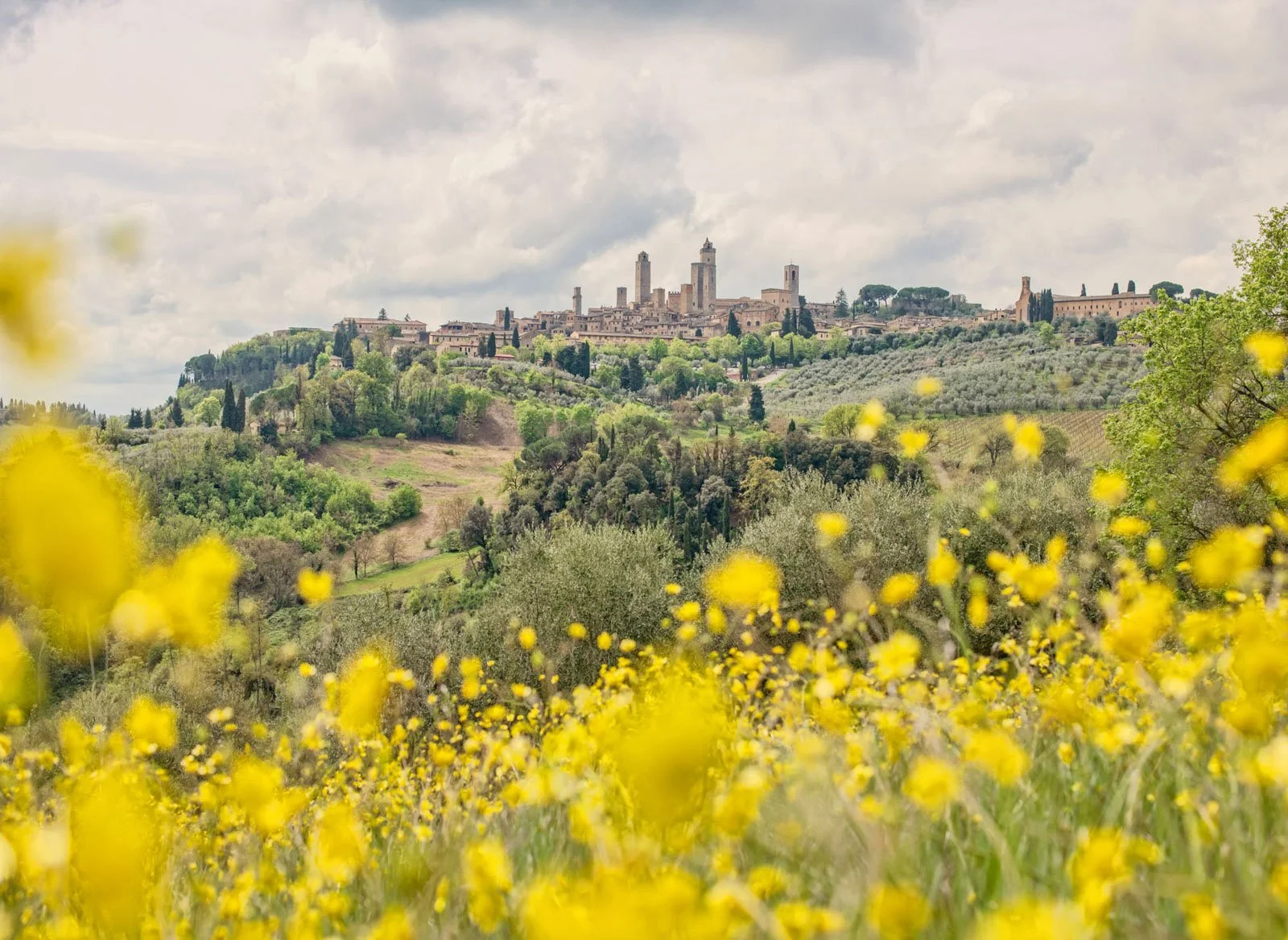 Hilly landscape with a medieval town, including tall towers, on a cloudy day, surrounded by lush green trees and yellow flowers in the foreground.