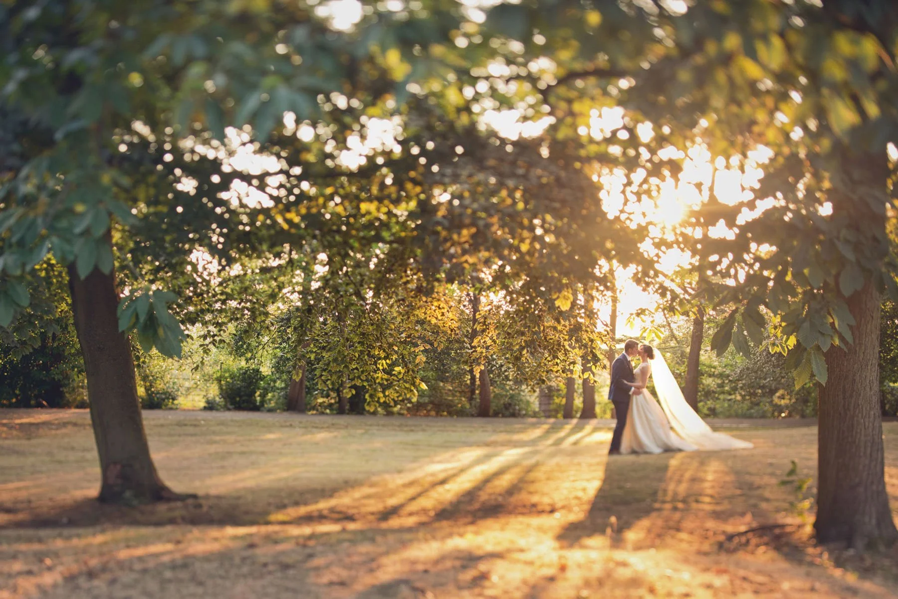 Bride and groom kiss in the sunset light in woodlands at Pembroke Lodge in Richmond Park