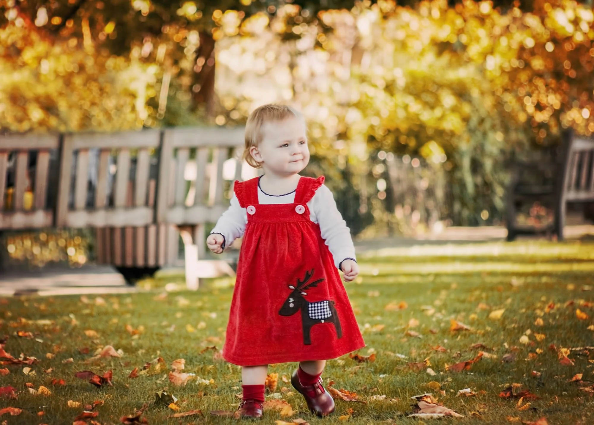 A little girl in a red dress stands among  golden autumn leaves in Waterlow Park in Highgate in north London