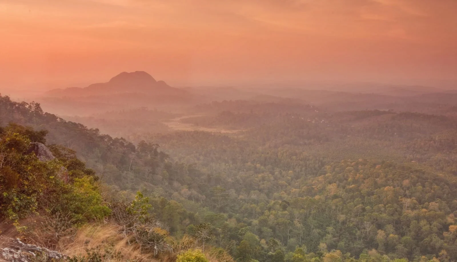 A scenic view of a valley with lush green forest, rolling hills, and a mountain in the distance, under a pastel-colored sky at sunset.