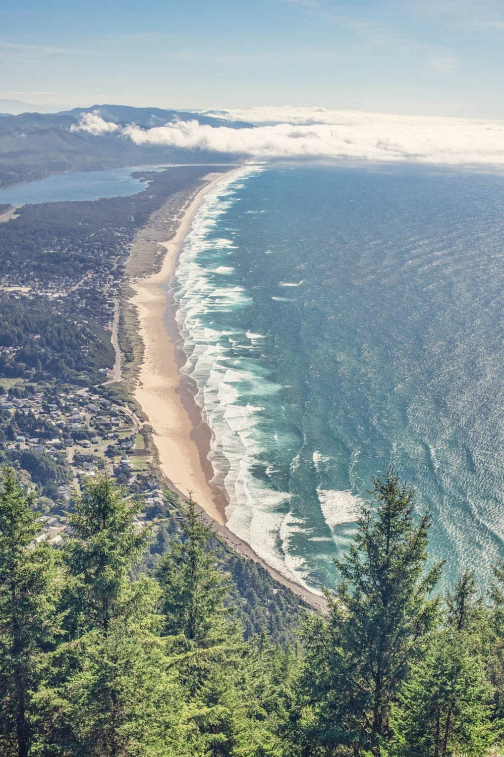 Aerial view of a coastline with sandy beach, ocean waves, and a forested hillside in the foreground.