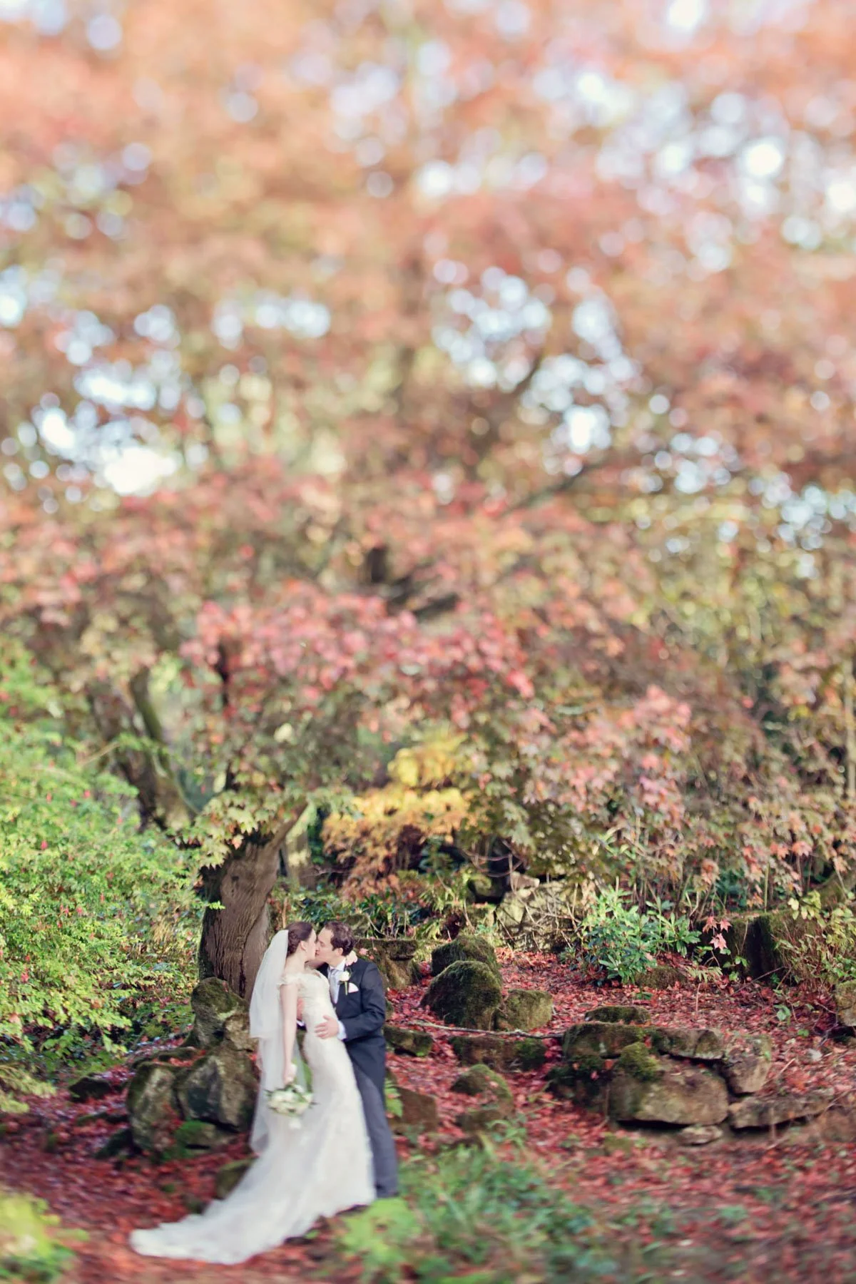 A bride and groom share a passionate kiss surrounded by autumn foliage in Holland Park, after their weekday wedding ceremony 