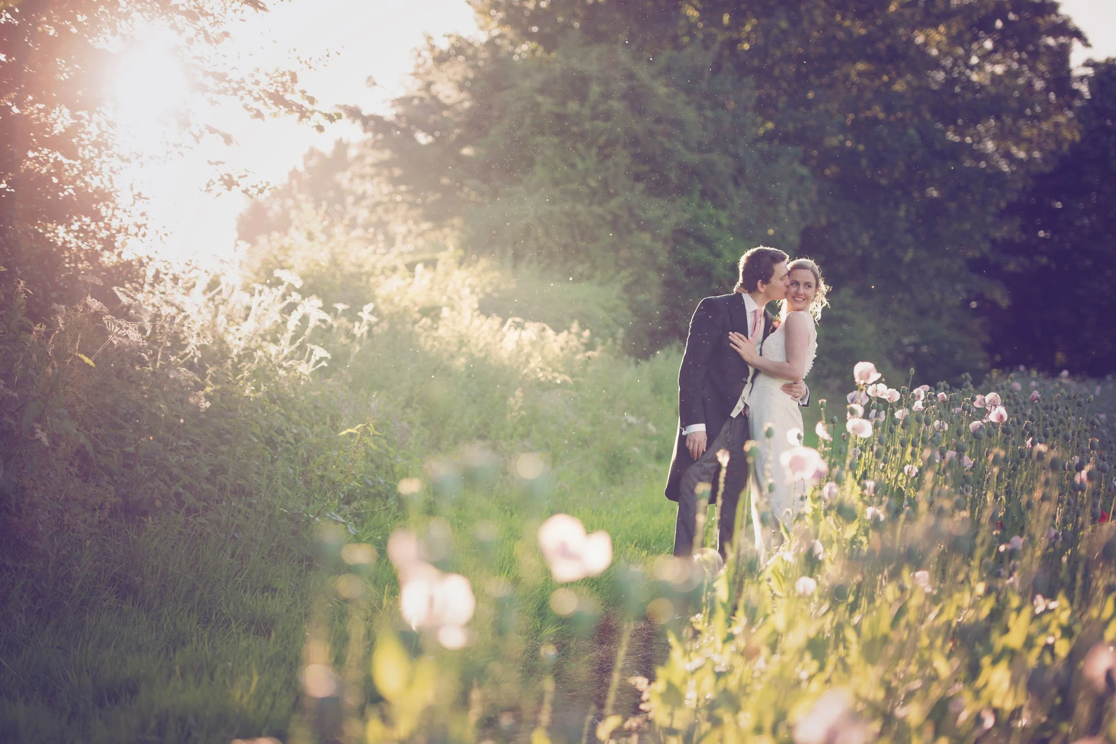 A groom kisses his bride in a Hertfordshire field filled with flowers and beautiful late afternoon sunshine